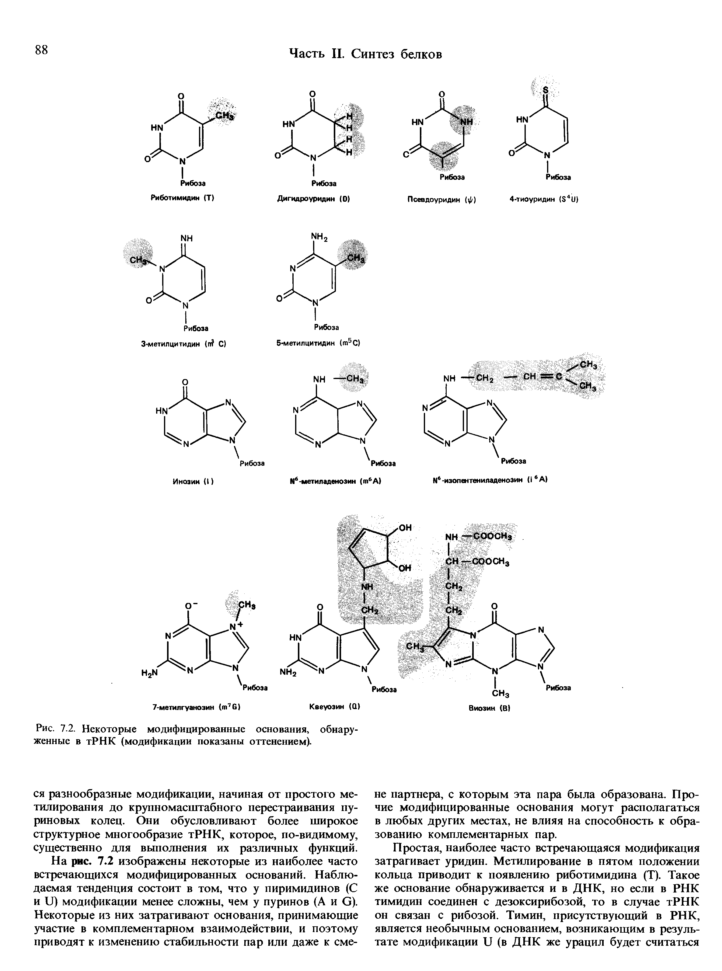 Рис. 7.2. Некоторые модифицированные основания, обнаруженные в тРНК (модификации показаны оттенением).