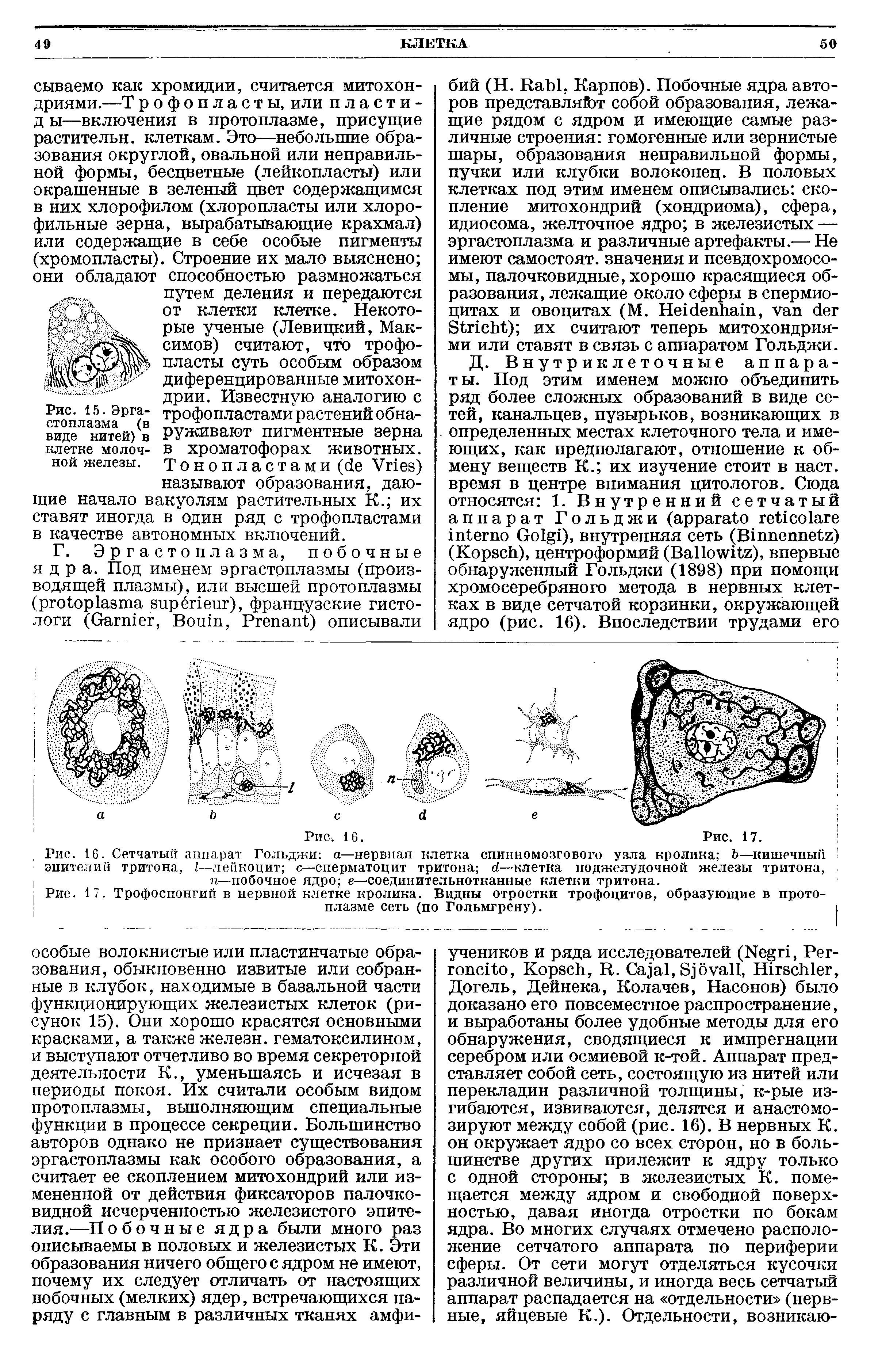 Рис. 16. Сетчатый аппарат Гольджи а—нервная клетка спинномозгового узла кролика Ь—кишечный эпителий тритона, —лейкоцит с—сперматоцит тритона <1—клетка поджелудочной железы тритона, п—побочное ядро е—соединительнотканные клетки тритона.