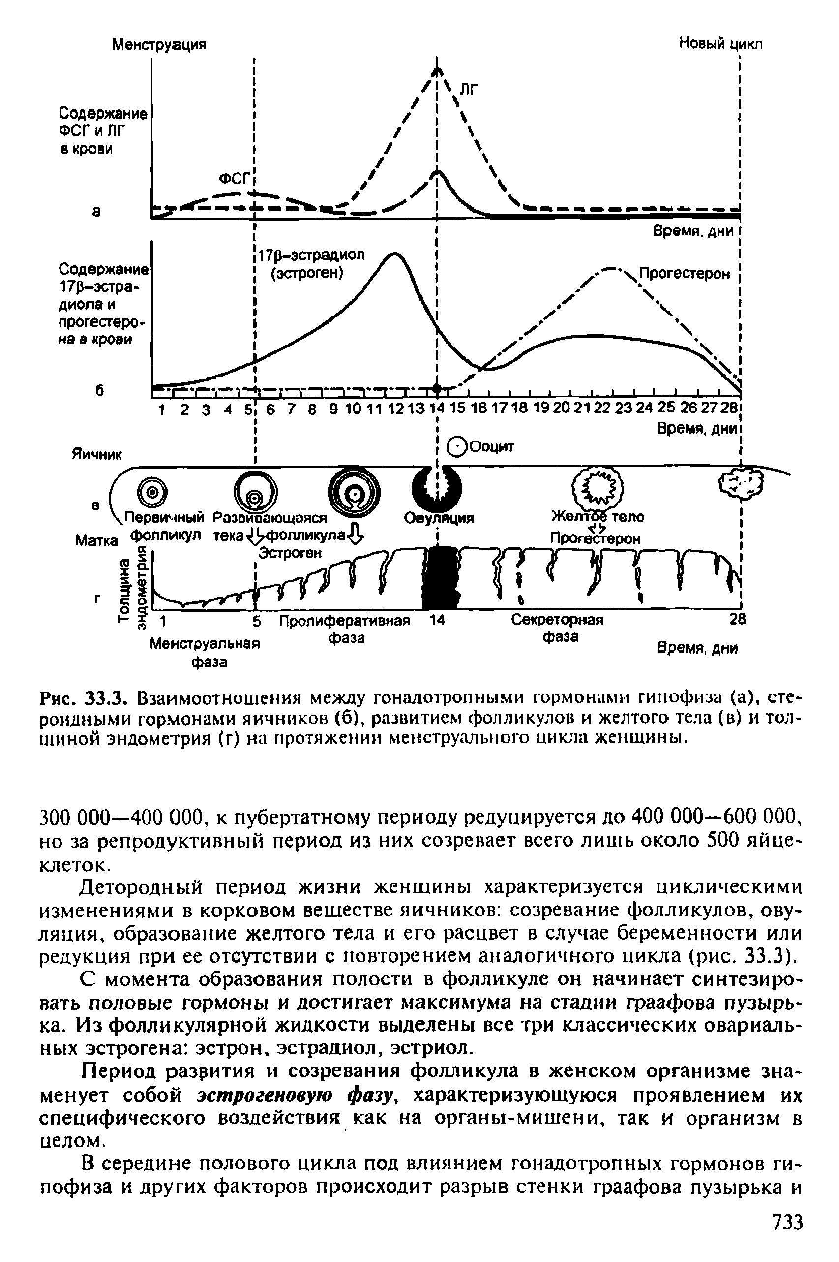 Рис. 33.3. Взаимоотношения между гонадотропными гормонами гипофиза (а), стероидными гормонами яичников (б), развитием фолликулов и желтого тела (в) и толщиной эндометрия (г) на протяжении менструального цикла женщины.