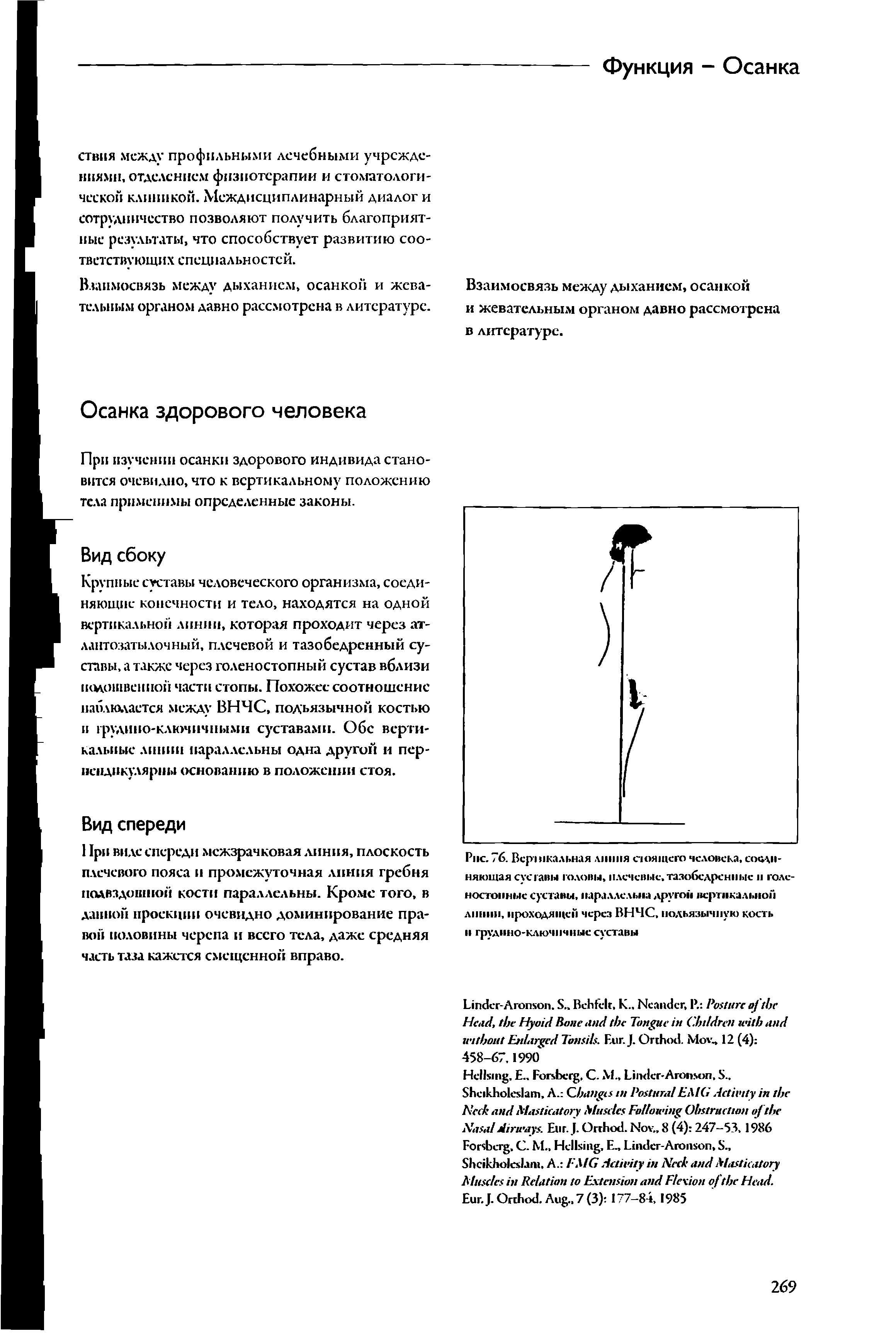 Рис. 76. Всршкальная линия стоящего человека, соединяющая сус тавы головы, плечевые, тазобедренные п голеностопные суставы, параллельна другой вертикальной линии, проходящей через ВНЧС, подъязычную кость и грудино-ключичные суставы...