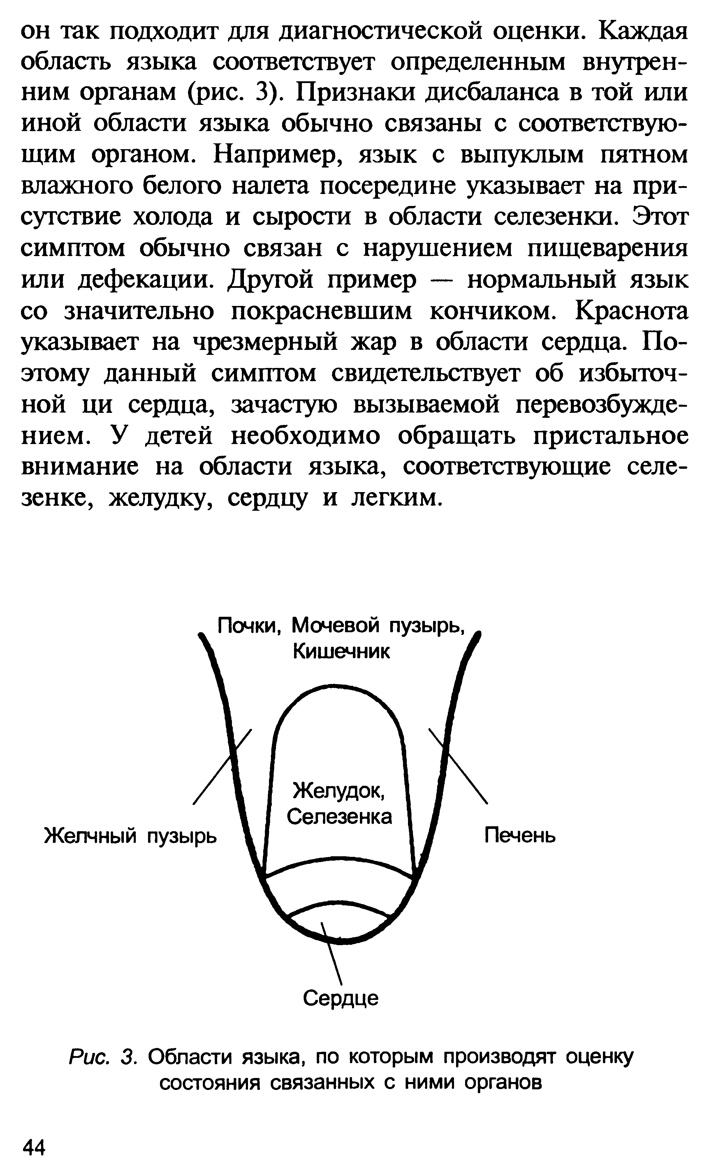 Рис. 3. Области языка, по которым производят оценку состояния связанных с ними органов...