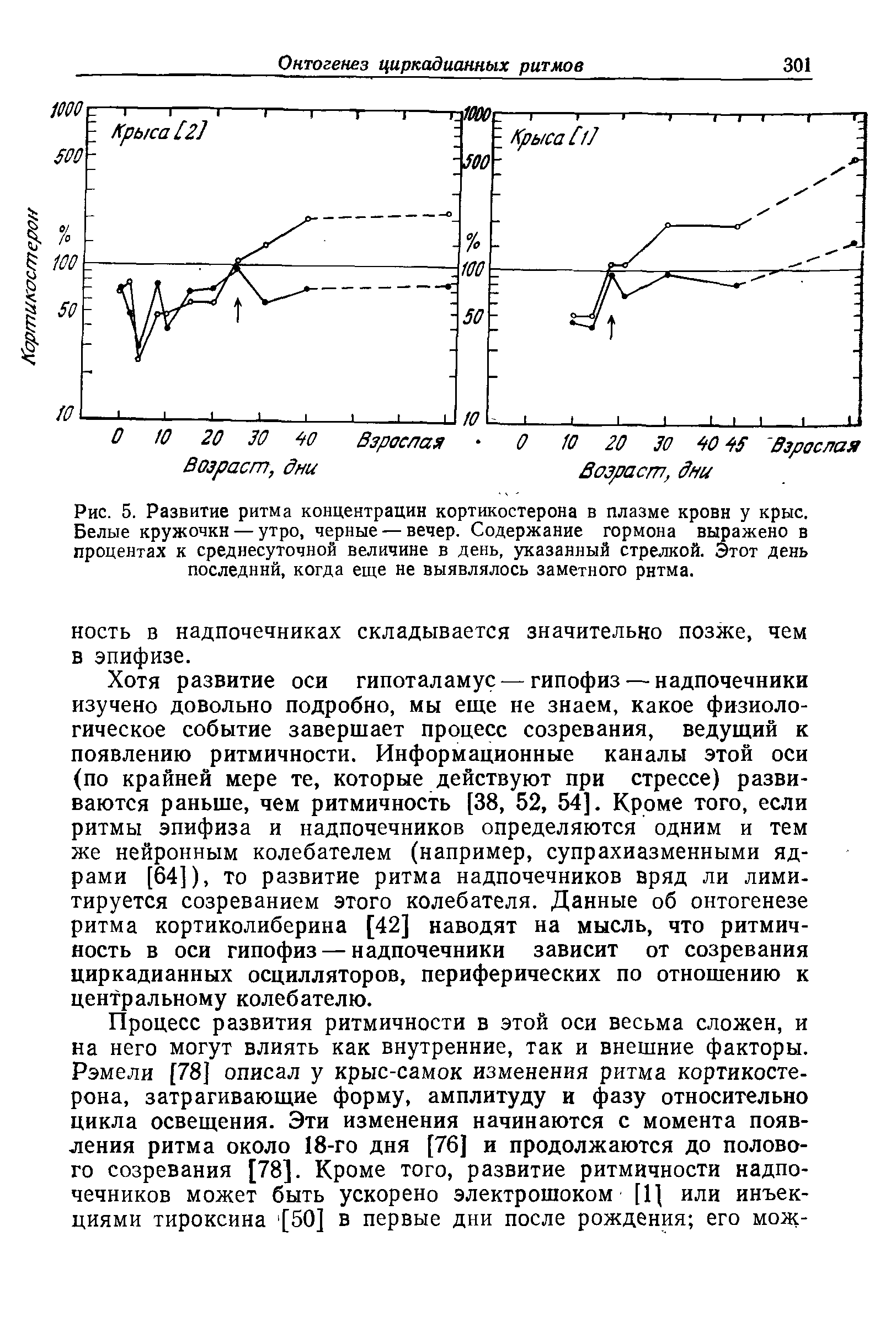 Рис. 5. Развитие ритма концентрации кортикостерона в плазме крови у крыс. Белые кружочки — утро, черные — вечер. Содержание гормона выражено в процентах к среднесуточной величине в день, указанный стрелкой. Этот день последний, когда еще не выявлялось заметного ритма.