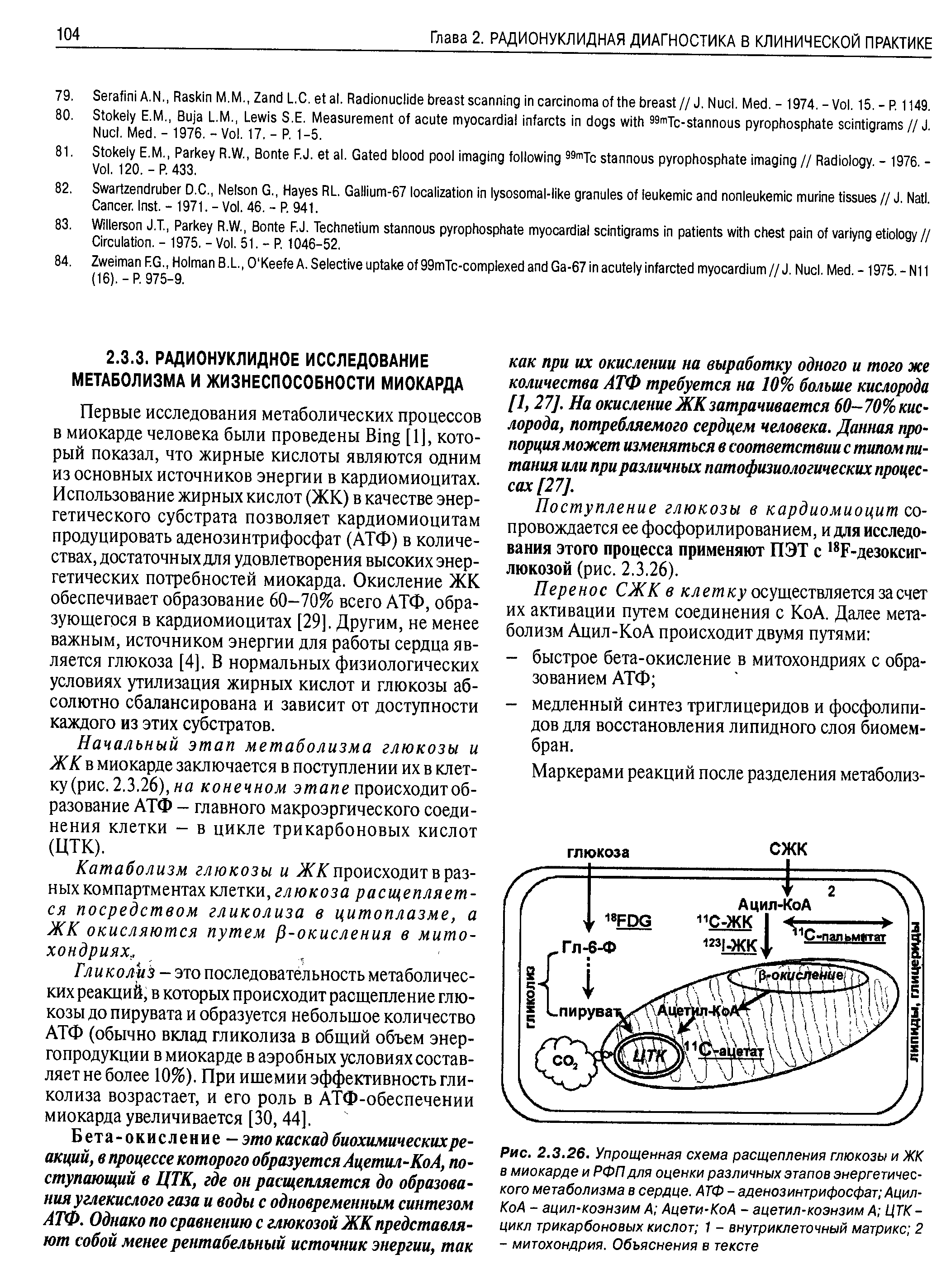 Рис. 2.3.26. Упрощенная схема расщепления глюкозы и ЖК в миокарде и РФП для оценки различных этапов энергетического метаболизма в сердце. А7Ф - аденозинтрифосфат Ацил-КоА - ацил-коэнзим А Ацети-КоА - ацетил-коэнзим А ЦТК-цикл трикарбоновых кислот 1 - внутриклеточный матрикс 2 - митохондрия. Объяснения в тексте...