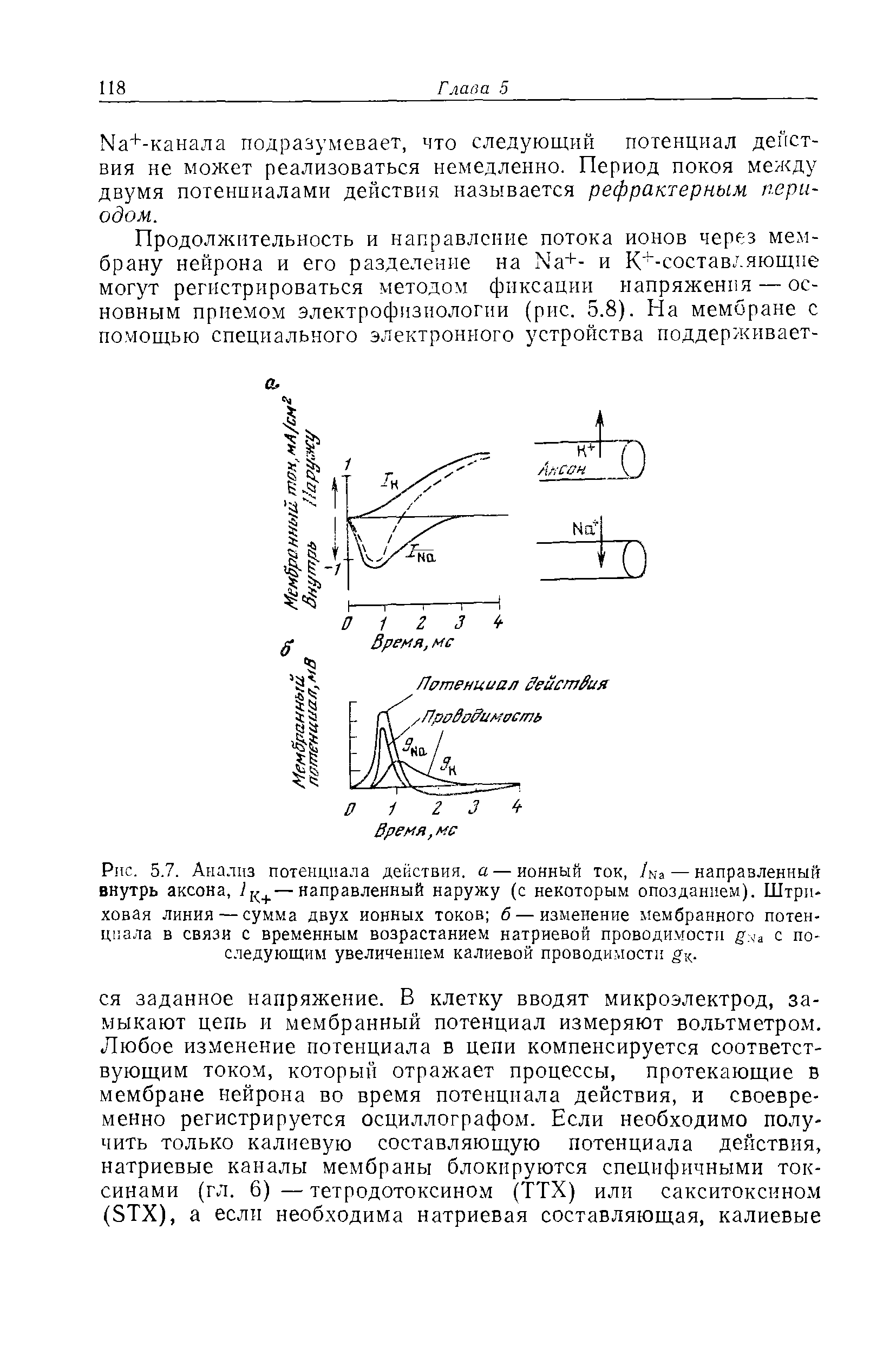 Рис. 5.7. Анализ потенциала действия, а — ионный ток, /ка— направленный внутрь аксона, 1 к —направленный наружу (с некоторым опозданием). Штриховая линия — сумма двух ионных токов б — изменение мембранного потенциала в связи с временным возрастанием натриевой проводимости с последующим увеличением калиевой проводимости о. ...