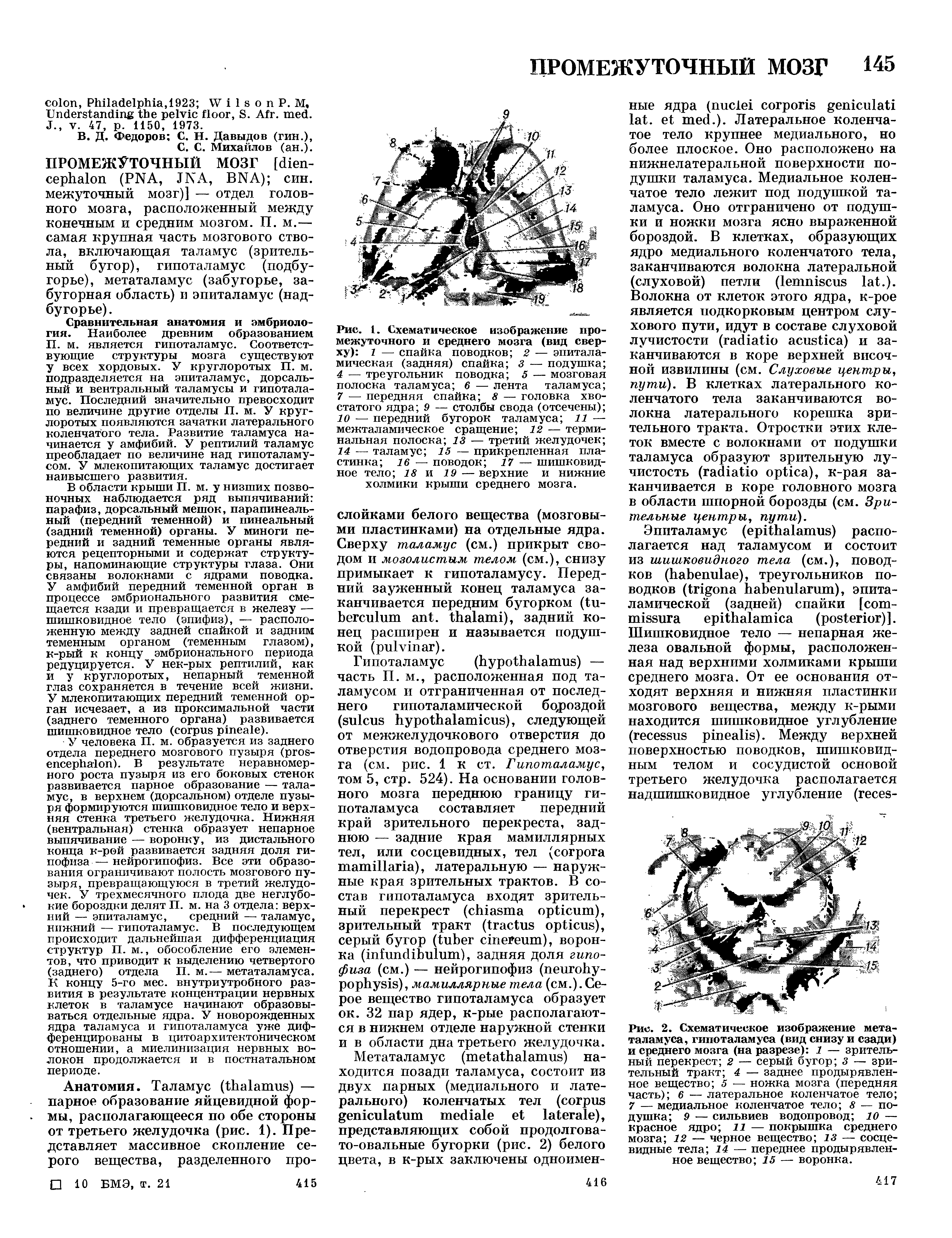 Рис. 2. Схематическое изображение метаталамуса, гипоталамуса (вид снизу и сзади) и среднего мозга (на разрезе) 1 — зрительный перекрест 2 — серый бугор з — зрительный тракт 4 — заднее продырявленное вещество 5 — ножка мозга (передняя часть) 6 — латеральное коленчатое тело 7 — медиальное коленчатое тело 8 — подушка 9 — сильвиев водопровод 10 — красное ядро 11 — покрышка среднего мозга 12 — черное вещество 13 — сосцевидные тела 14 — переднее продырявленное вещество 15 — воронка.