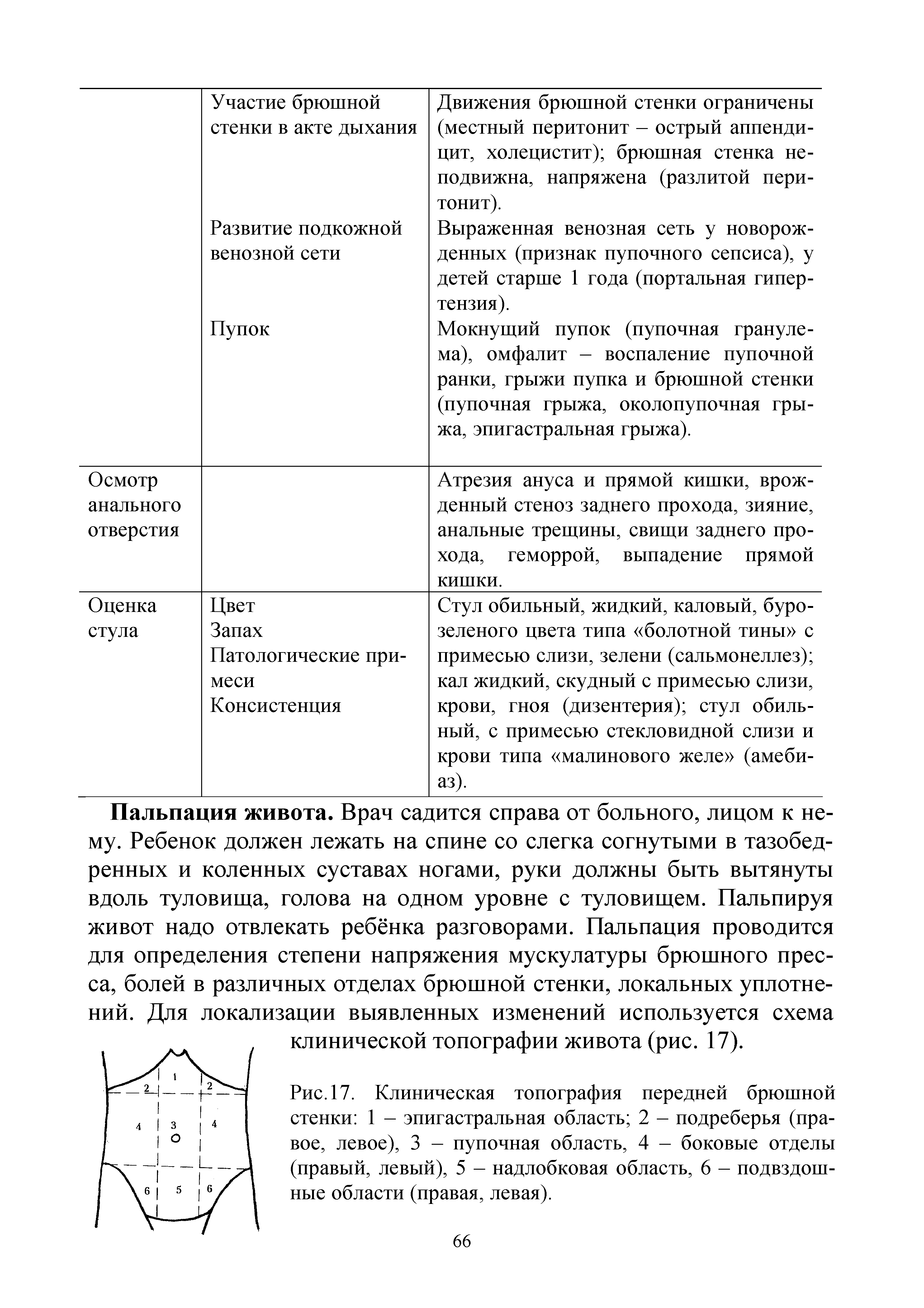 Рис. 17. Клиническая топография передней брюшной стенки 1 - эпигастральная область 2 - подреберья (правое, левое), 3 - пупочная область, 4 - боковые отделы (правый, левый), 5 - надлобковая область, 6 - подвздошные области (правая, левая).