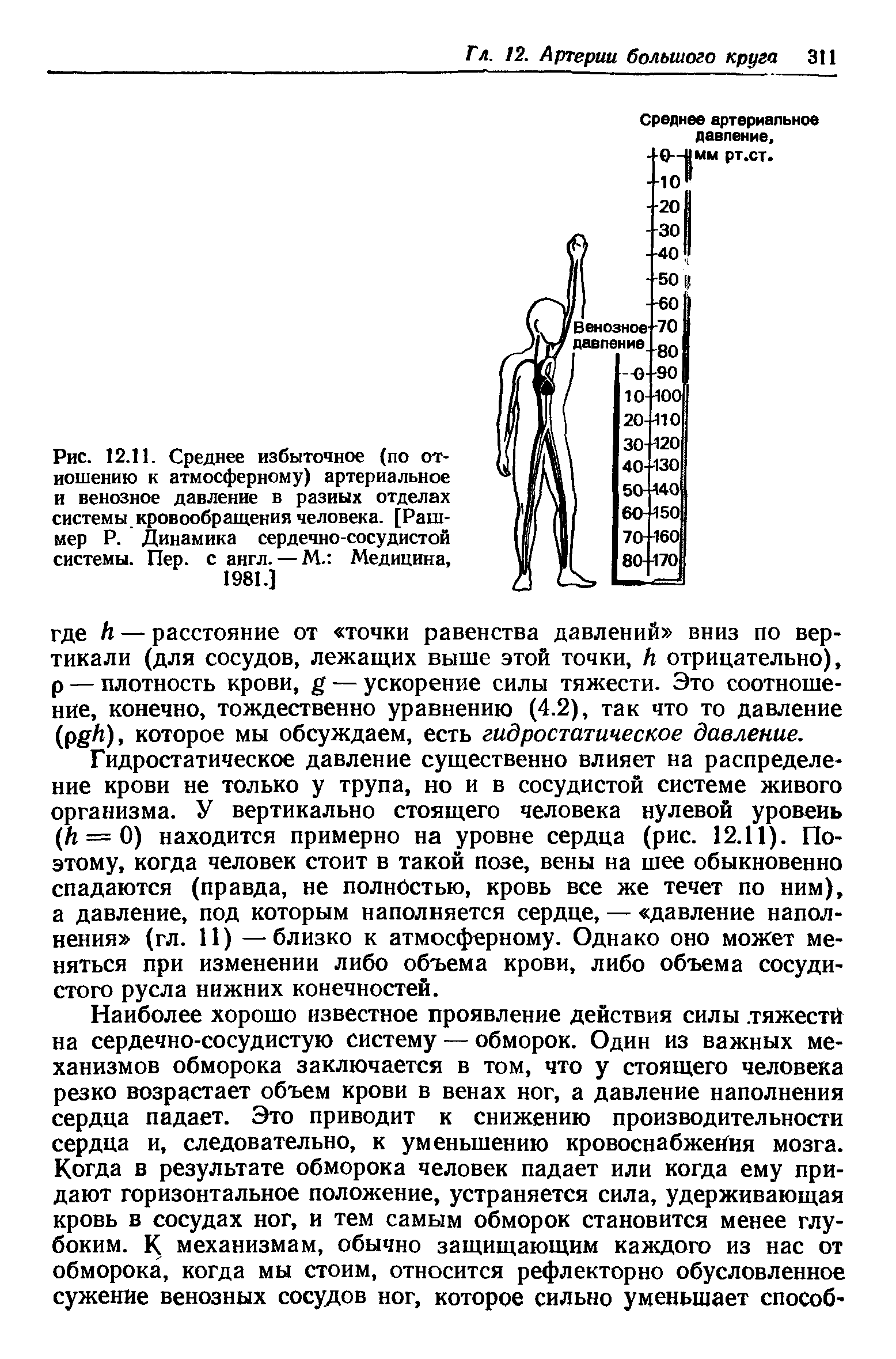 Рис. 12.11. Среднее избыточное (по отношению к атмосферному) артериальное и венозное давление в разных отделах системы кровообращения человека. [Раш-мер Р. Динамика сердечно-сосудистой системы. Пер. с англ. — М. Медицина,...