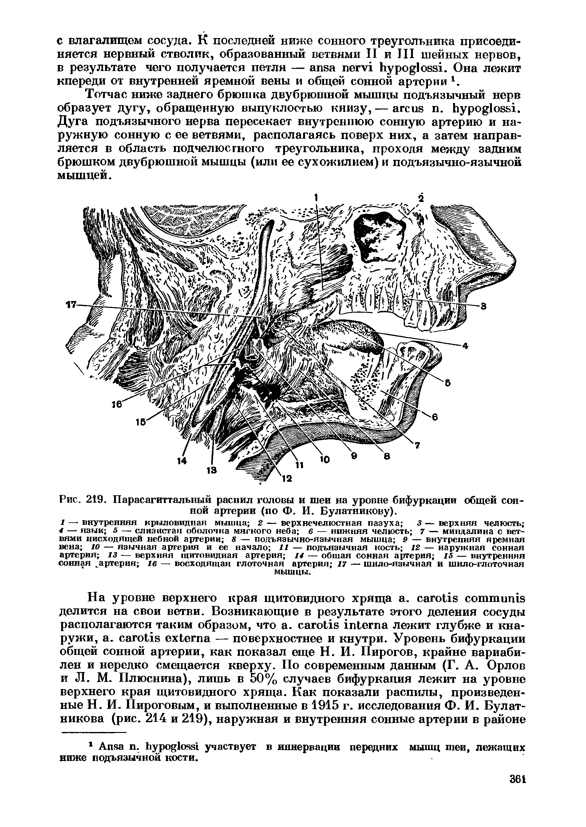 Рис. 219. Парасагиттальный распил головы и шеи на уровне бифуркации общей сонной артерии (по Ф. И. Булатникову).
