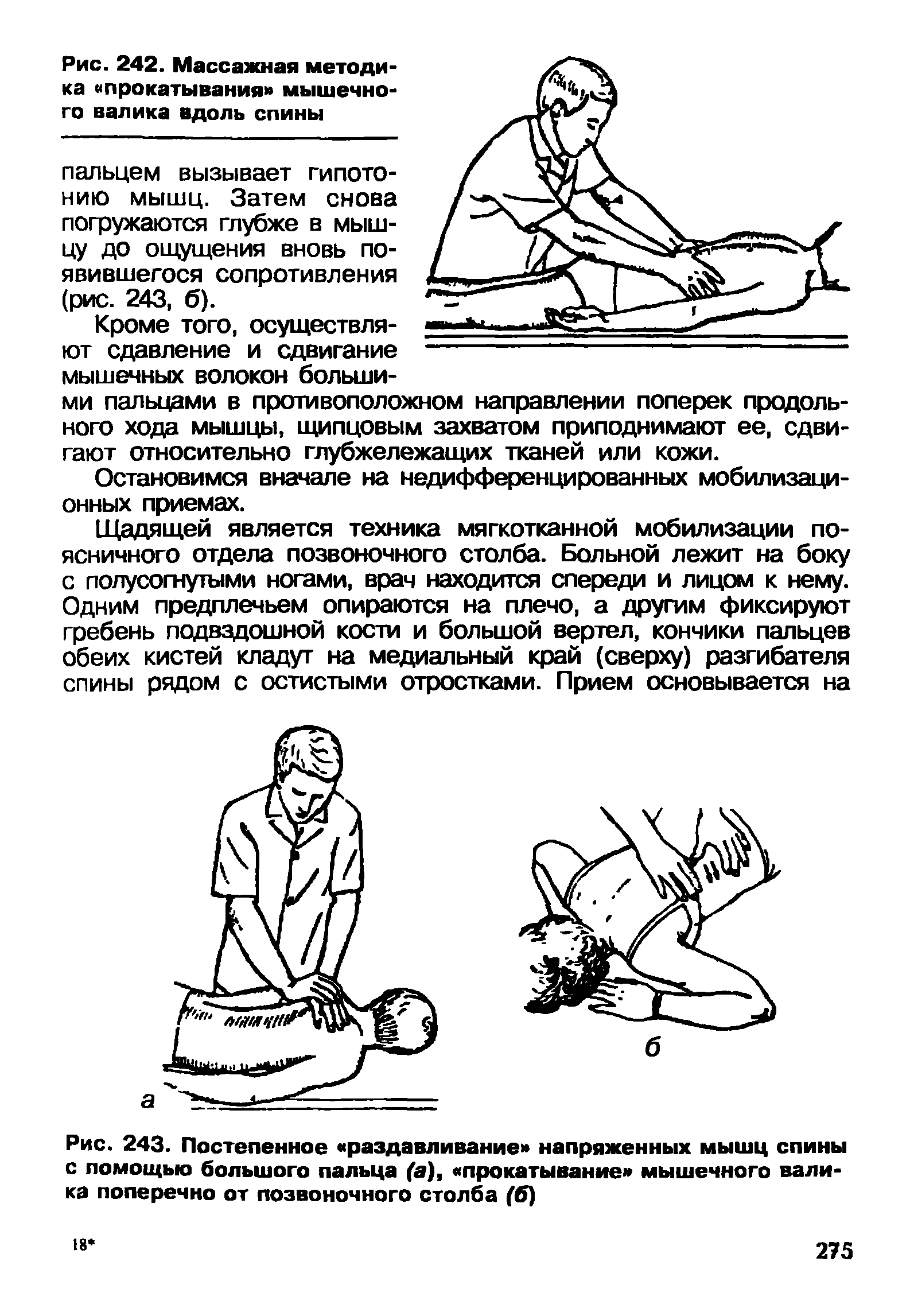 Рис. 243. Постепенное раздавливание напряженных мышц спины с помощью большого пальца (а), прокатывание мышечного валика поперечно от позвоночного столба (б)...