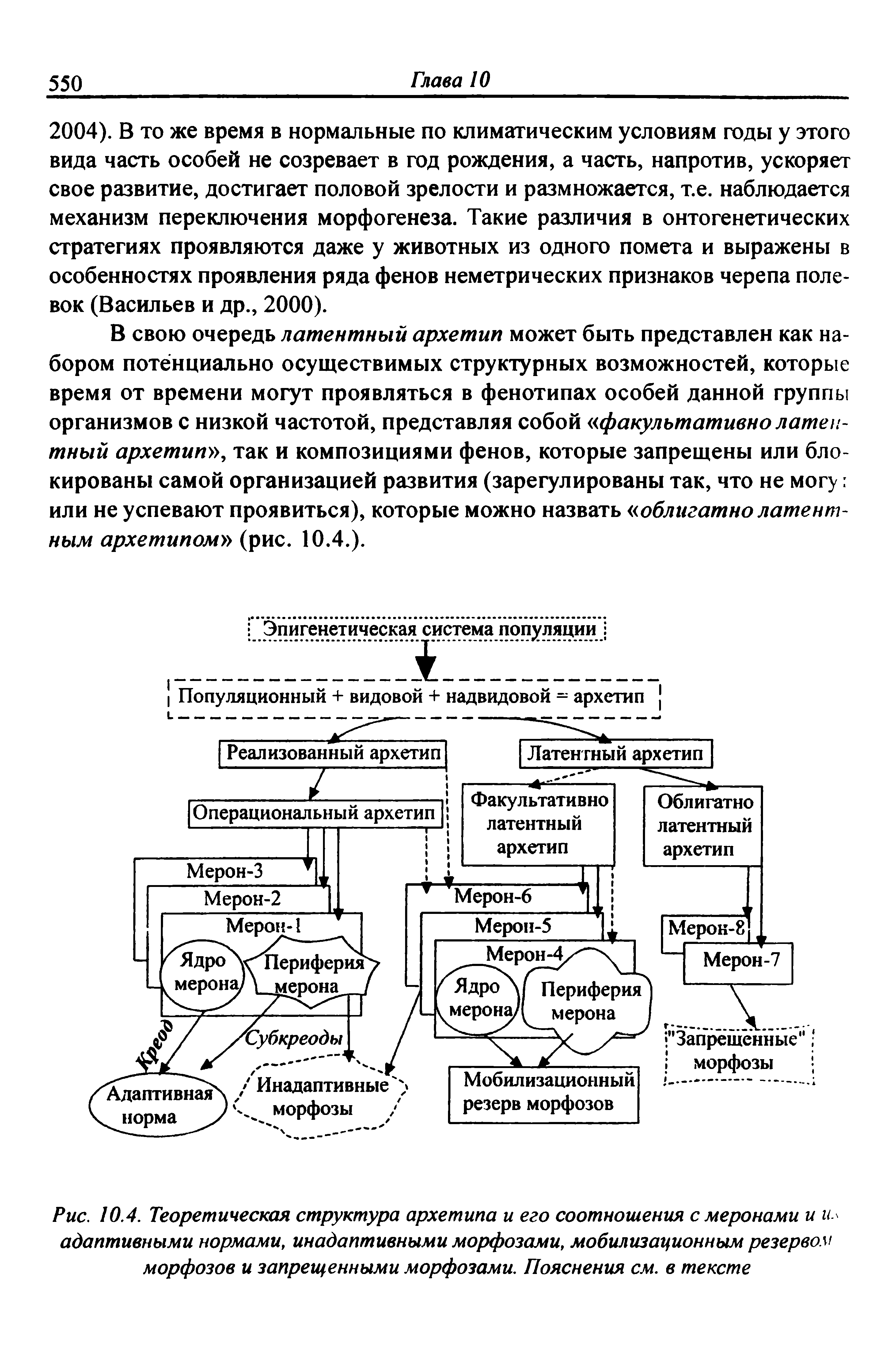 Рис. 10.4. Теоретическая структура архетипа и его соотношения с меронами и гь адаптивными нормами, инадаптивными морфозами, мобилизационным резервом морфозов и запрещенными морфозами. Пояснения см. в тексте...