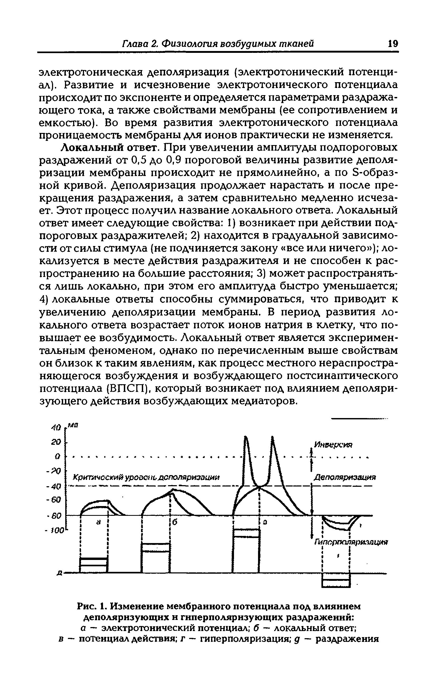 Рис. 1. Изменение мембранного потенциала под влиянием деполяризующих и гнперполярнзующих раздражений а — электротонический потенциал б — локальный ответ в — потенциал действия г — гиперполяризация д — раздражения...