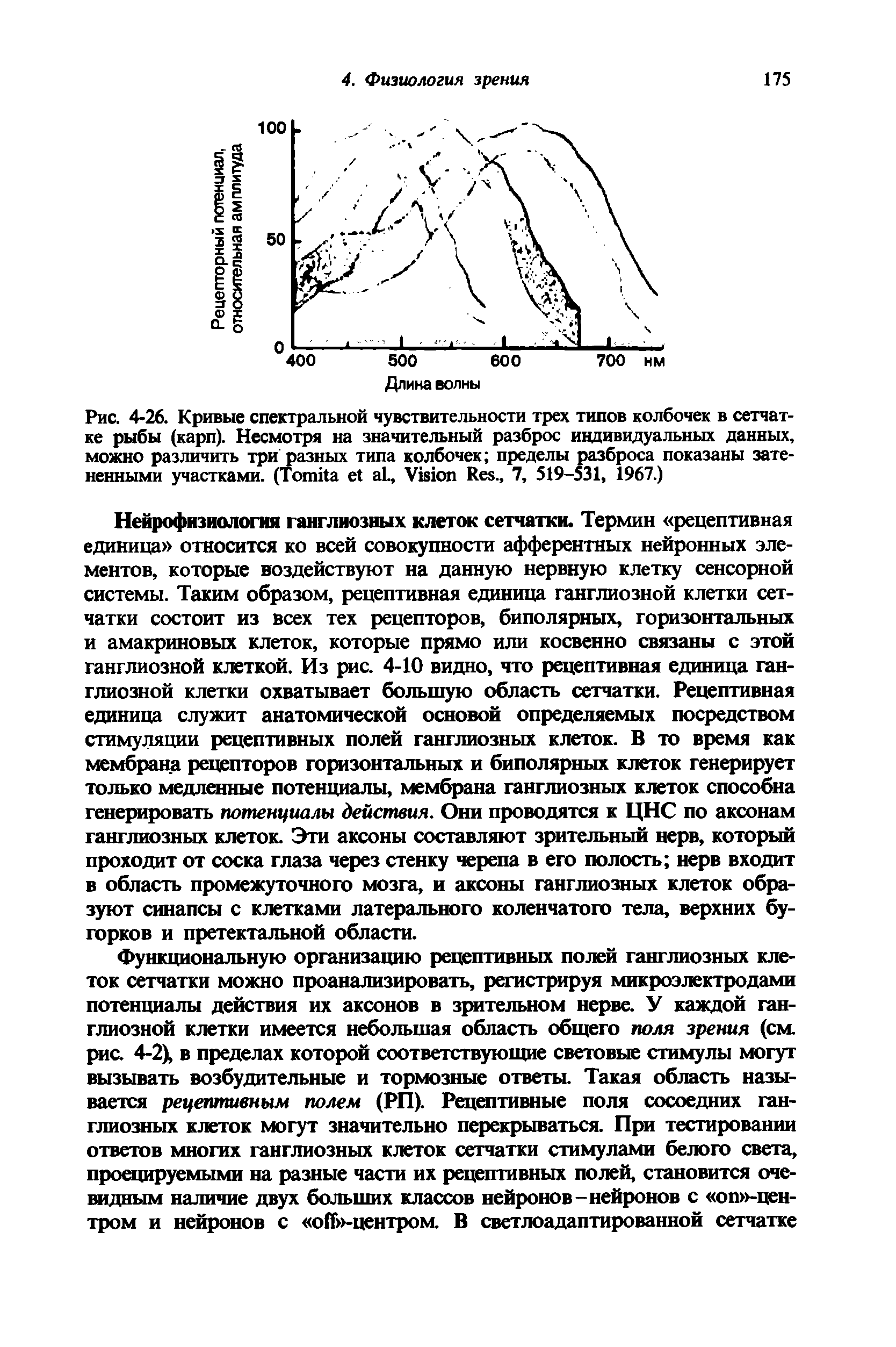 Рис. 4-26. Кривые спектральной чувствительности трех типов колбочек в сетчатке рыбы (карп). Несмотря на значительный разброс индивидуальных данных, можно различить три разных типа колбочек пределы разброса показаны затененными участками. (T ., V R ., 7, 519-531, 1967.)...