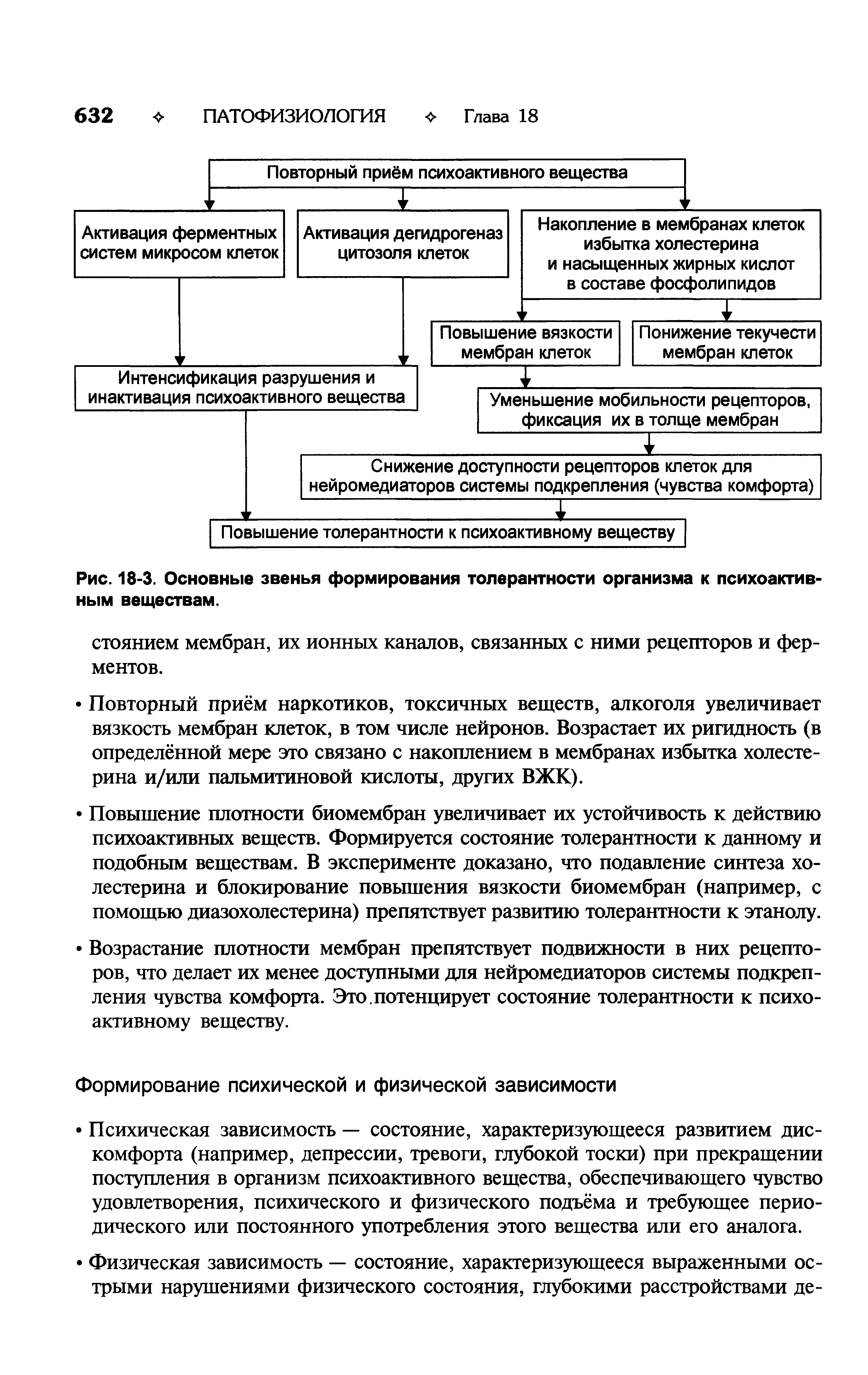 Рис. 18-3. Основные звенья формирования толерантности организма к психоактивным веществам.