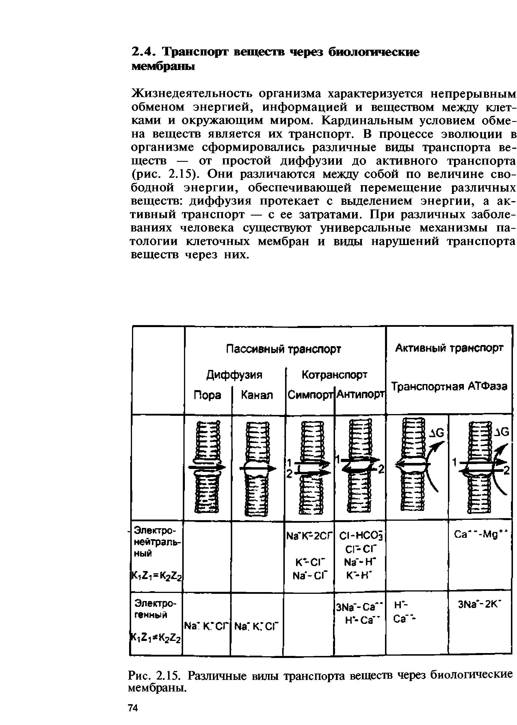 Рис. 2.15. Различные вилы транспорта веществ через биологические мембраны.
