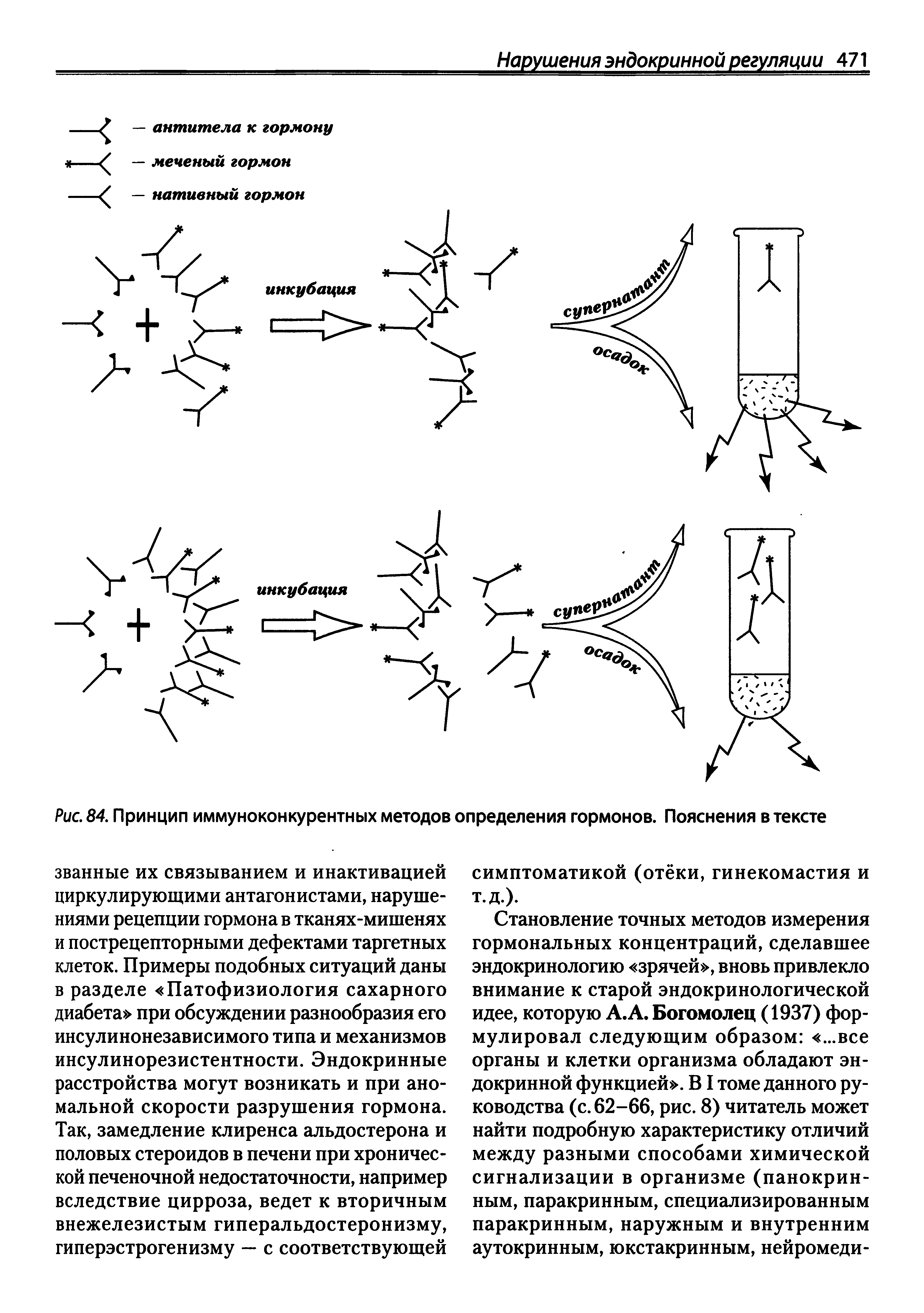 Рис. 84. Принцип иммуноконкурентных методов определения гормонов. Пояснения в тексте...
