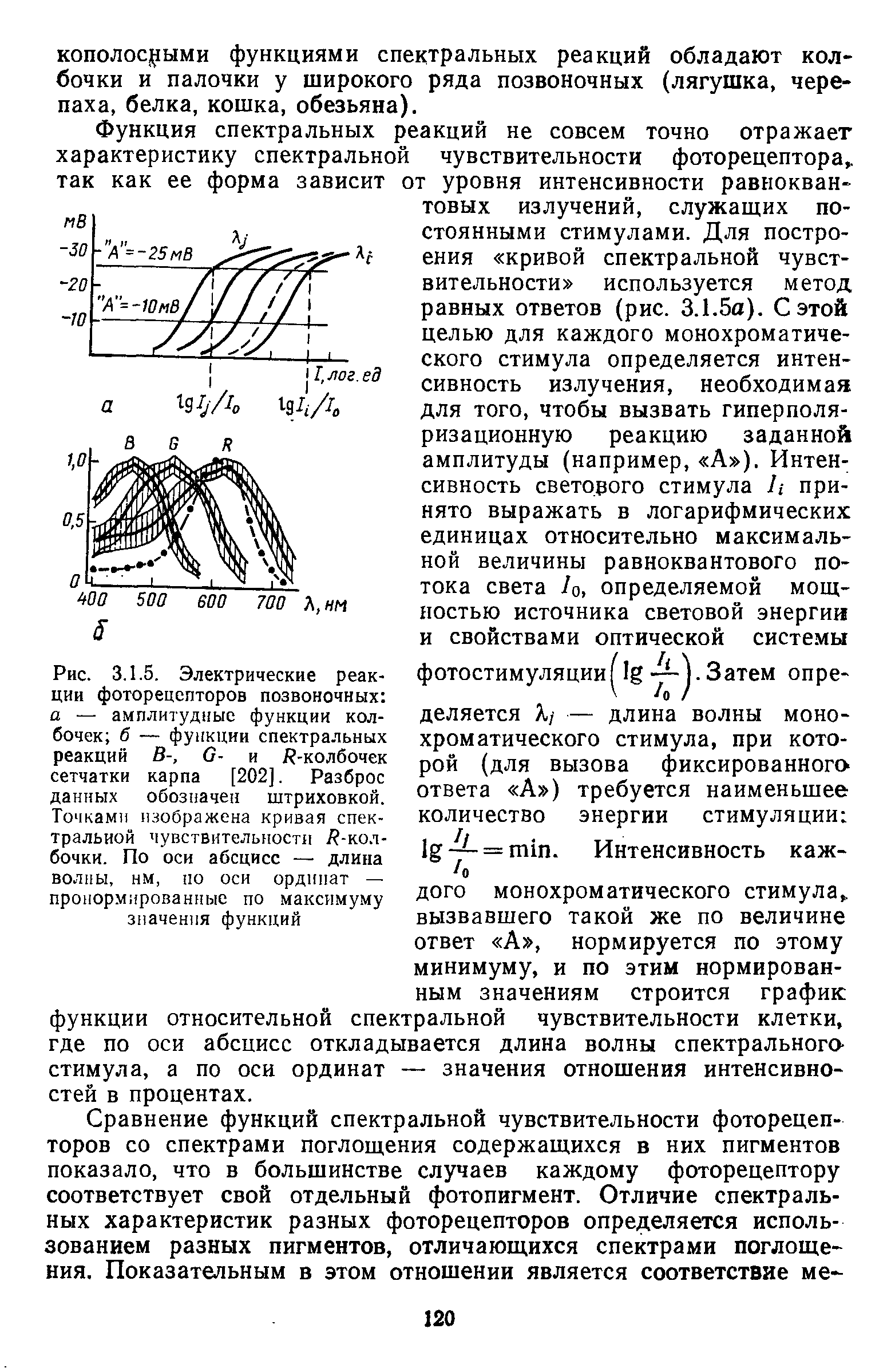 Рис. 3.1.5. Электрические реакции фоторецепторов позвоночных а — амплитудные функции кол- — функции спектральных В-, й- и Р-колбочек карпа [202]. Разброс обозначен штриховкой, изображена кривая спек-...