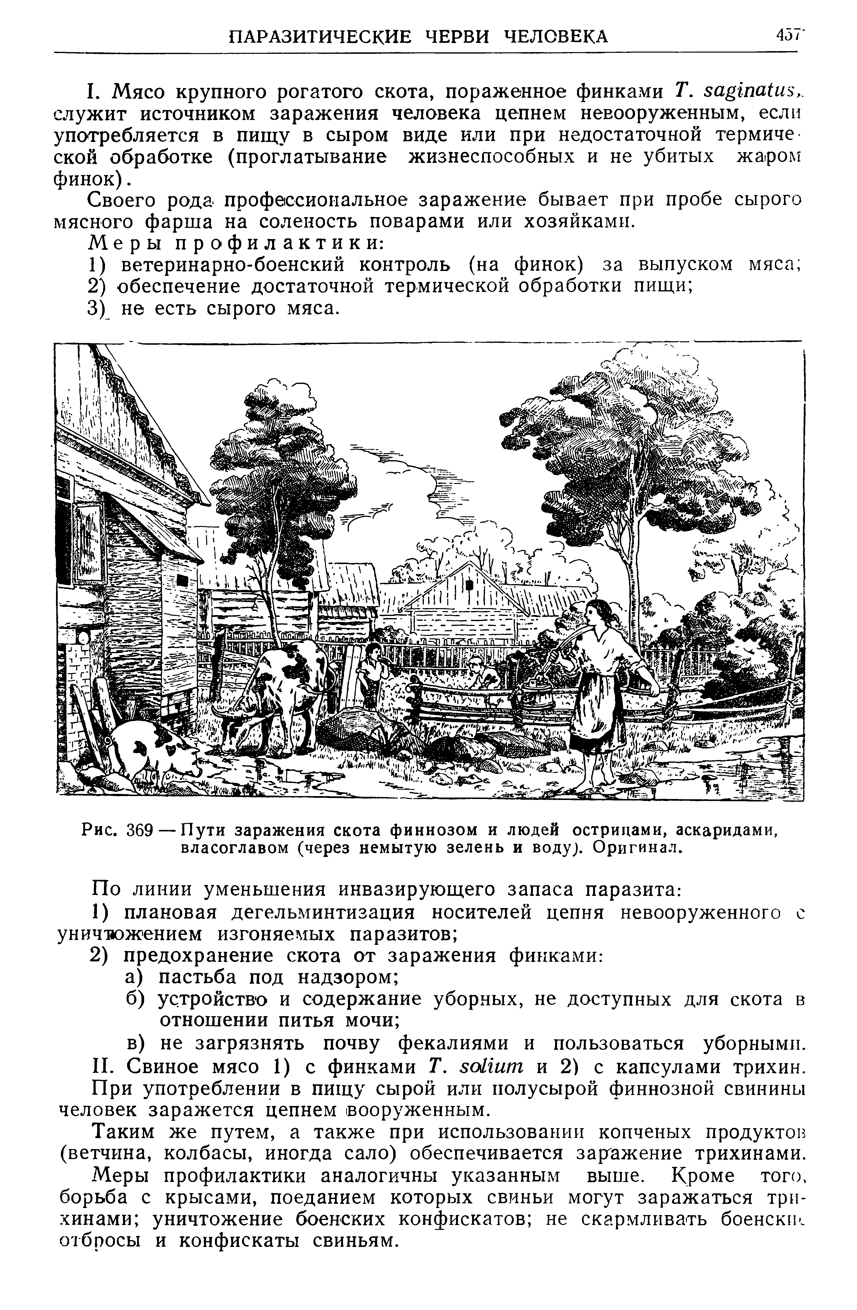 Рис. 369 — Пути заражения скота финнозом и людей острицами, аскаридами, власоглавом (через немытую зелень и воду). Оригинал.