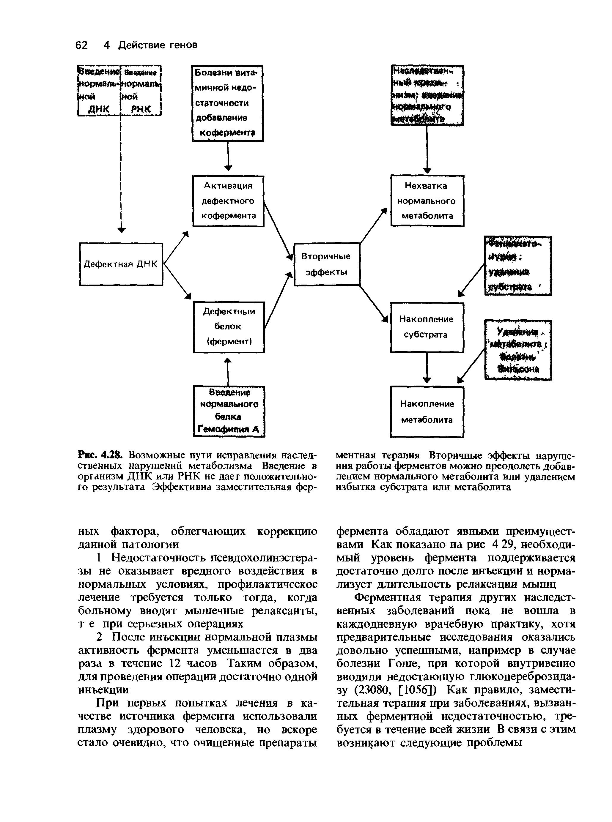 Рис. 4.28. Возможные пути исправления наследственных нарушений метаболизма Введение в организм ДНК или РНК не даег положительного результата Эффективна заместительная фер-...