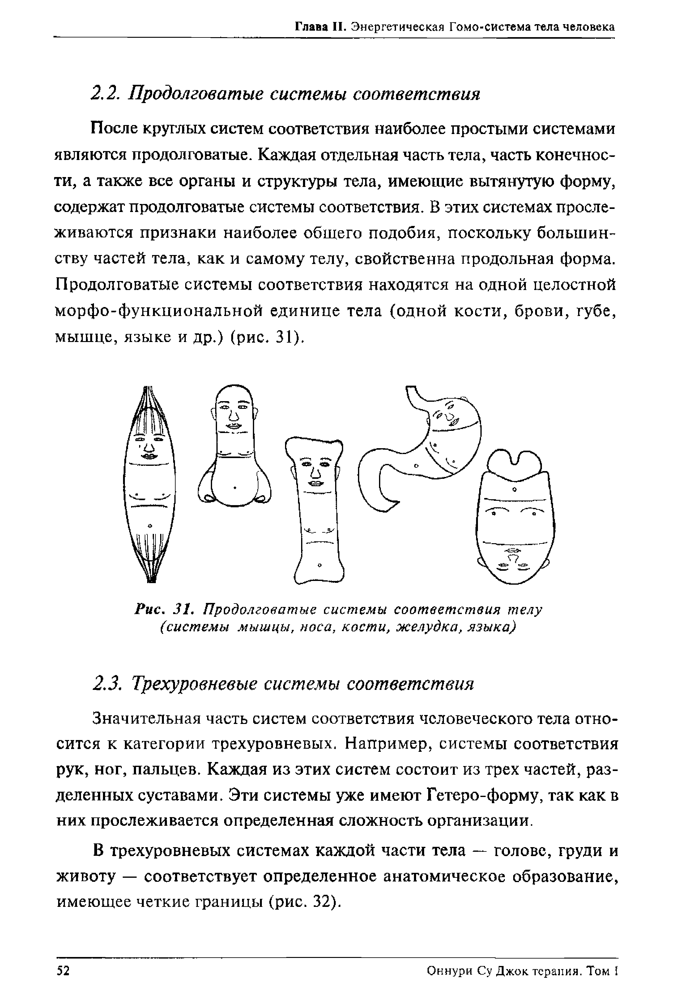 Рис. 31. Продолговатые системы соответствия телу (системы мышцы, носа, кости, желудка, языка)...