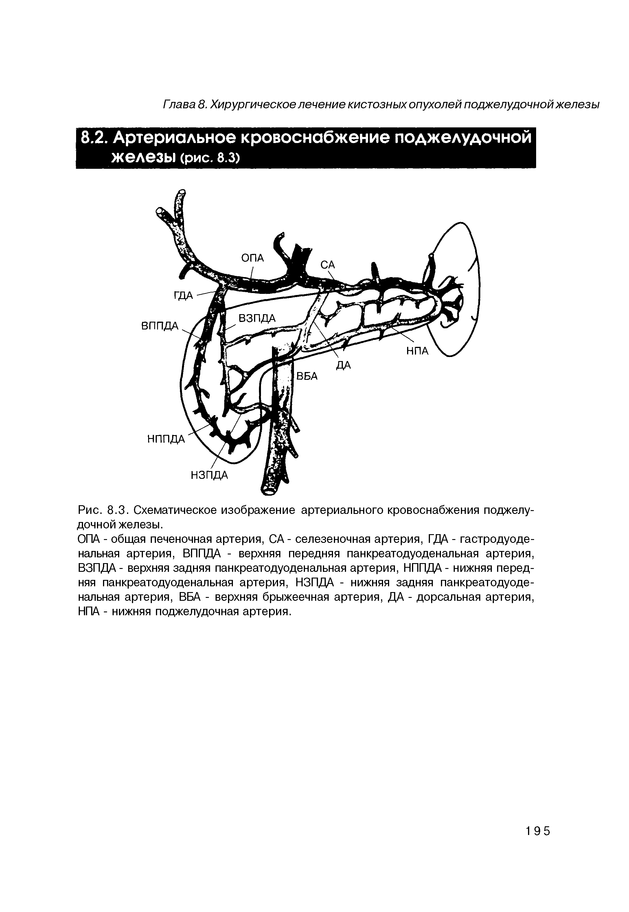 Рис. 8.3. Схематическое изображение артериального кровоснабжения поджелудочной железы.