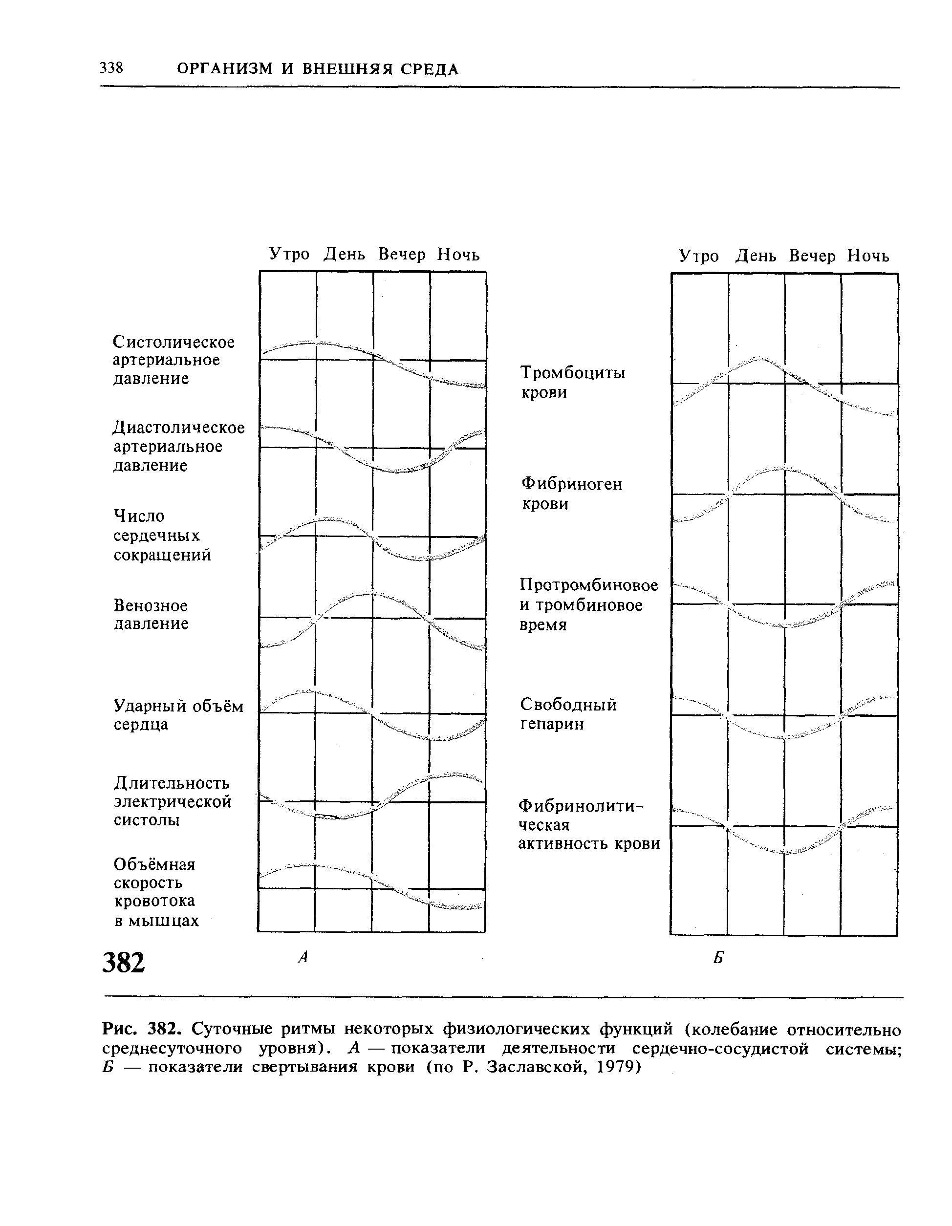 Рис. 382. Суточные ритмы некоторых физиологических функций (колебание относительно среднесуточного уровня). А—показатели деятельности сердечно-сосудистой системы Б — показатели свертывания крови (по Р. Заславской, 1979)...