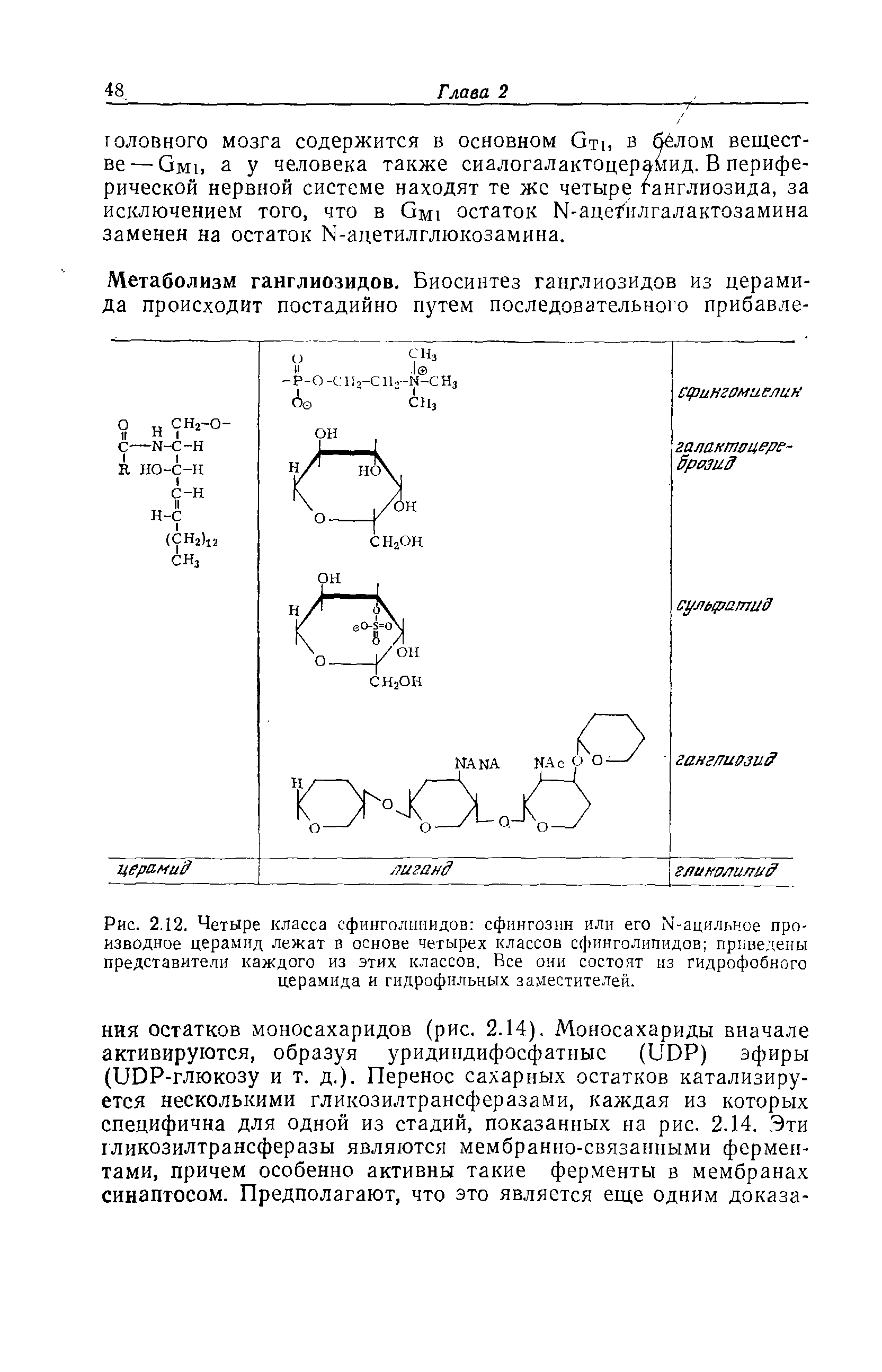 Рис. 2.12. Четыре класса сфинголипидов сфингозин или его N-ацильное производное церамид лежат в основе четырех классов сфинголипидов приведены представители каждого из этих классов. Все они состоят из гидрофобного церамида и гидрофильных заместителей.