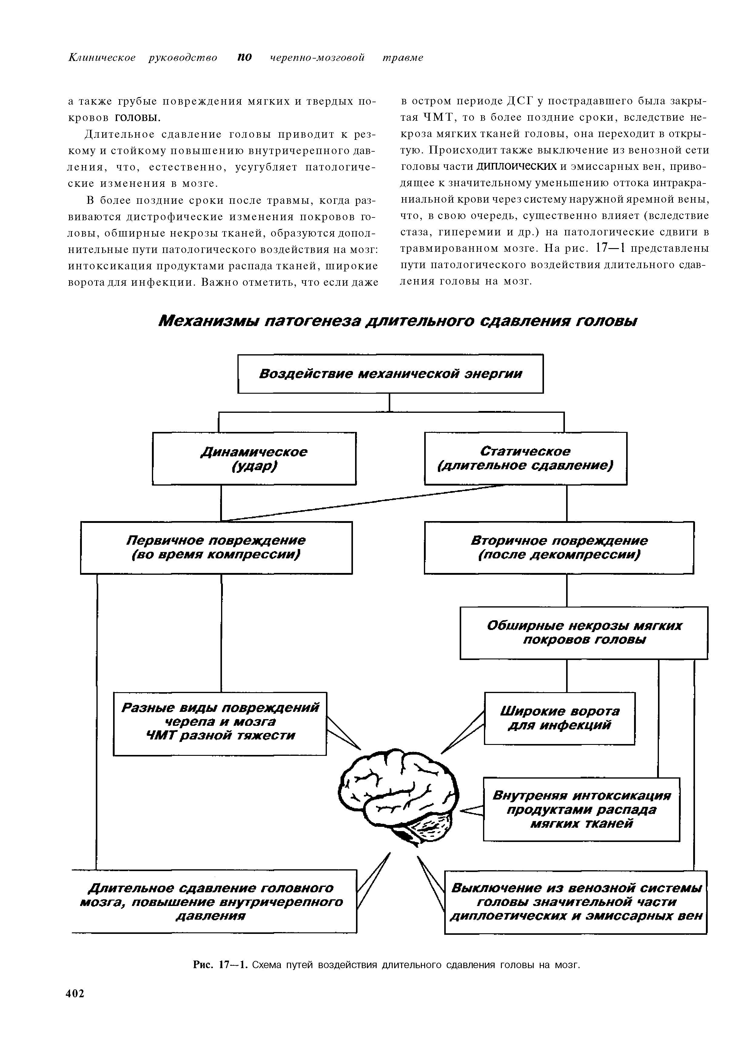 Рис. 17—1. Схема путей воздействия длительного сдавления головы на мозг.