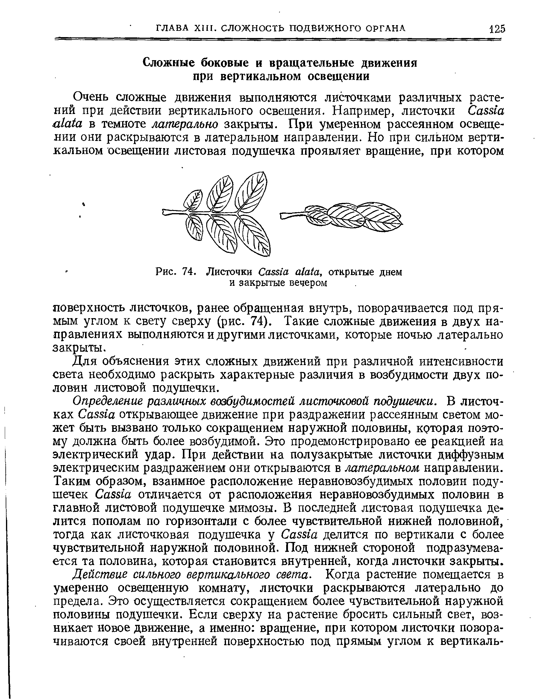 Рис. 74. Листочки C , открытые днем и закрытые вечером...