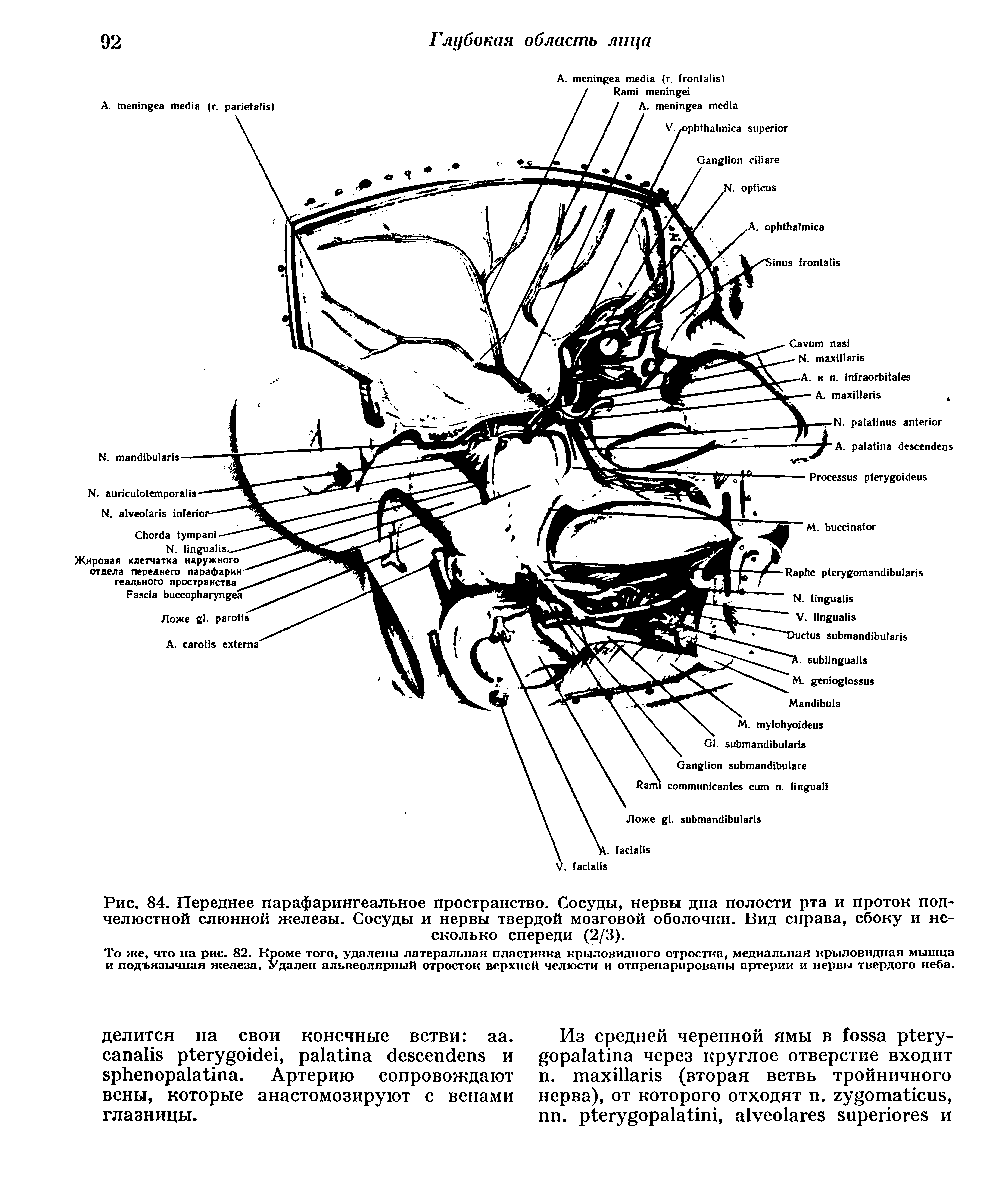 Рис. 84. Переднее парафарингеальное пространство. Сосуды, нервы дна полости рта и проток подчелюстной слюнной железы. Сосуды и нервы твердой мозговой оболочки. Вид справа, сбоку и несколько спереди (2/3).