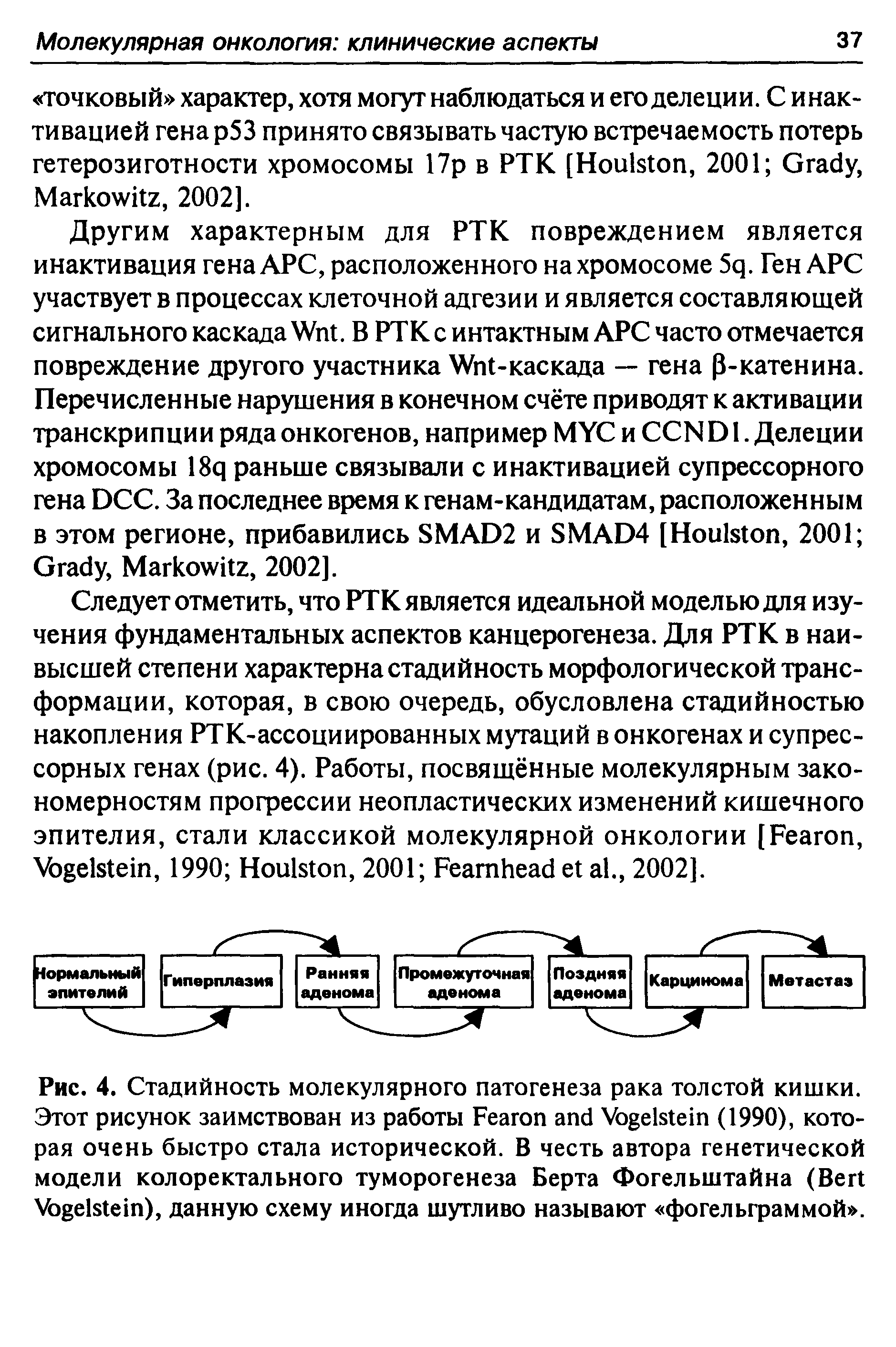 Рис. 4. Стадийность молекулярного патогенеза рака толстой кишки. Этот рисунок заимствован из работы F V (1990), которая очень быстро стала исторической. В честь автора генетической модели колоректального туморогенеза Берта Фогельштайна (B V ), данную схему иногда шутливо называют фогельграммой .