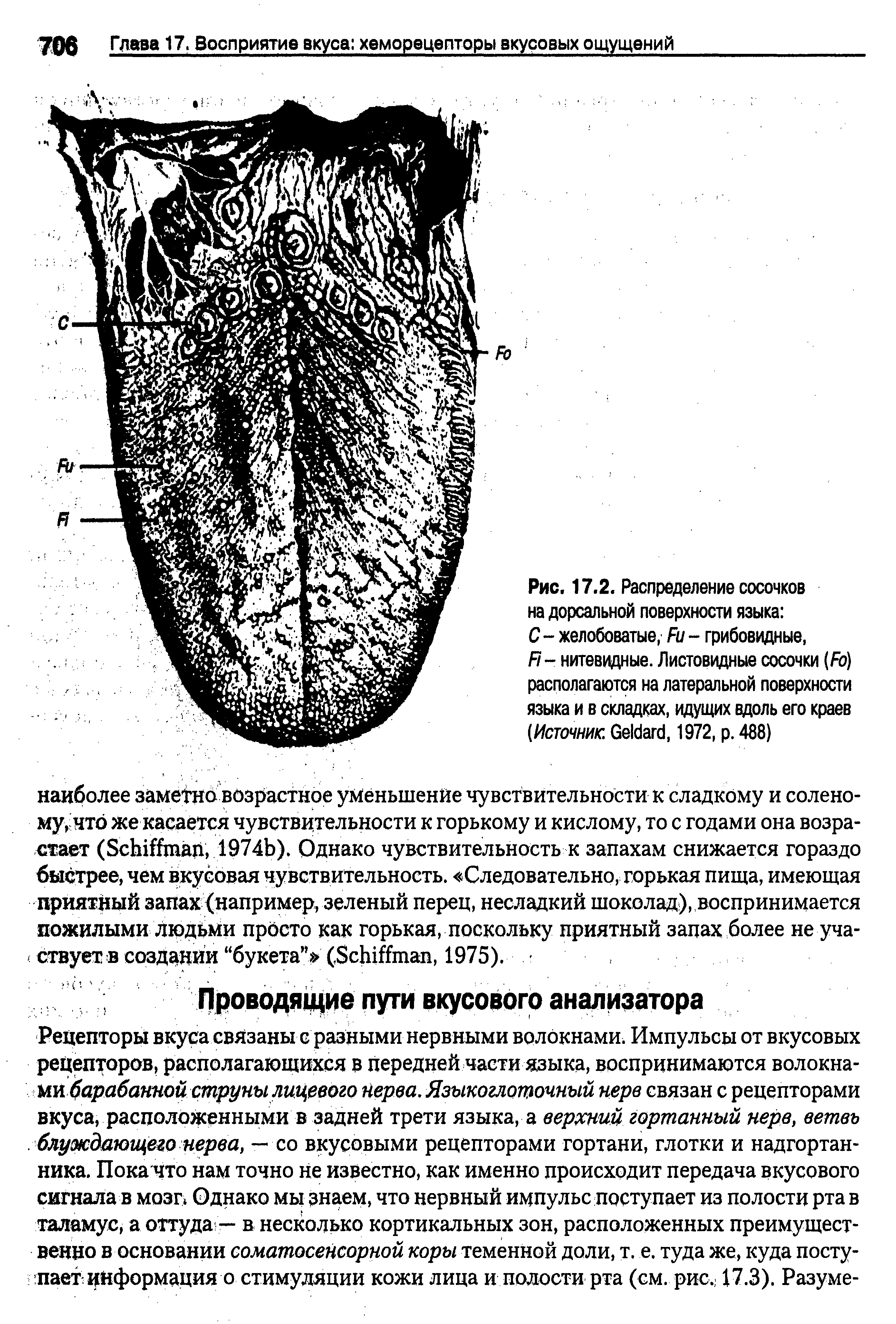 Распределение сосочков языка