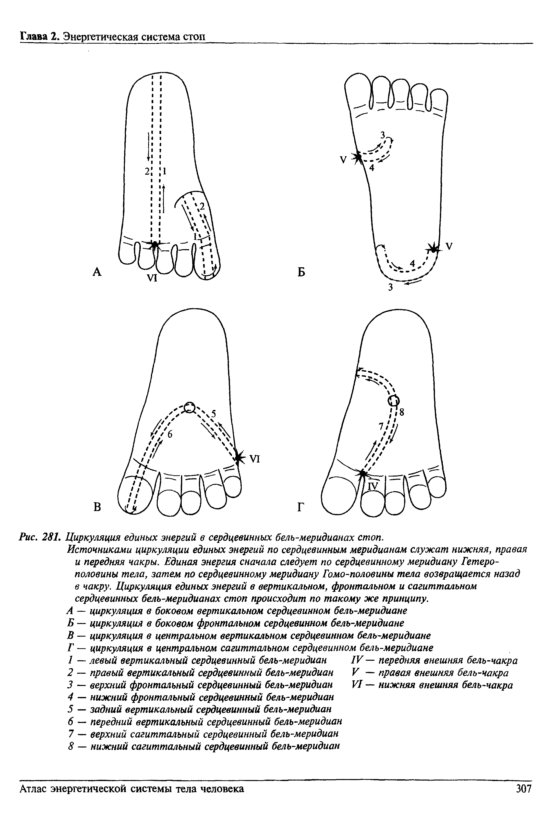 Рис. 281. Циркуляция единых энергий в сердцевинных бель-меридианах стоп.