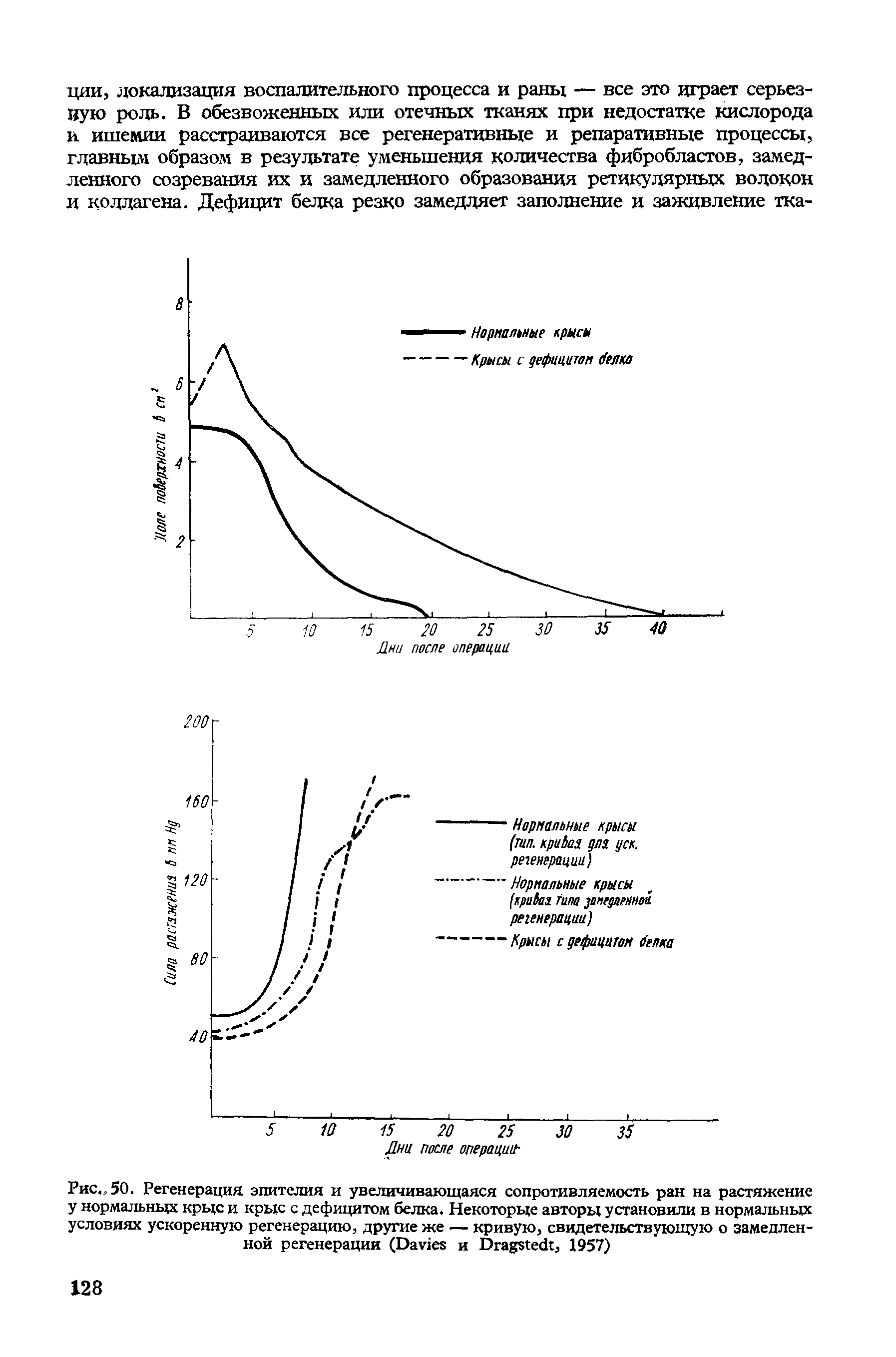 Рис., 50. Регенерация эпителия и увеличивающаяся сопротивляемость ран на растяжение у нормальных крще и крыс с дефицитом белка. Некоторые авторы установили в нормальных условиях ускоренную регенерацию, другие же — кривую, свидетельствующую о замедленной регенерации (D и D , 1957)...