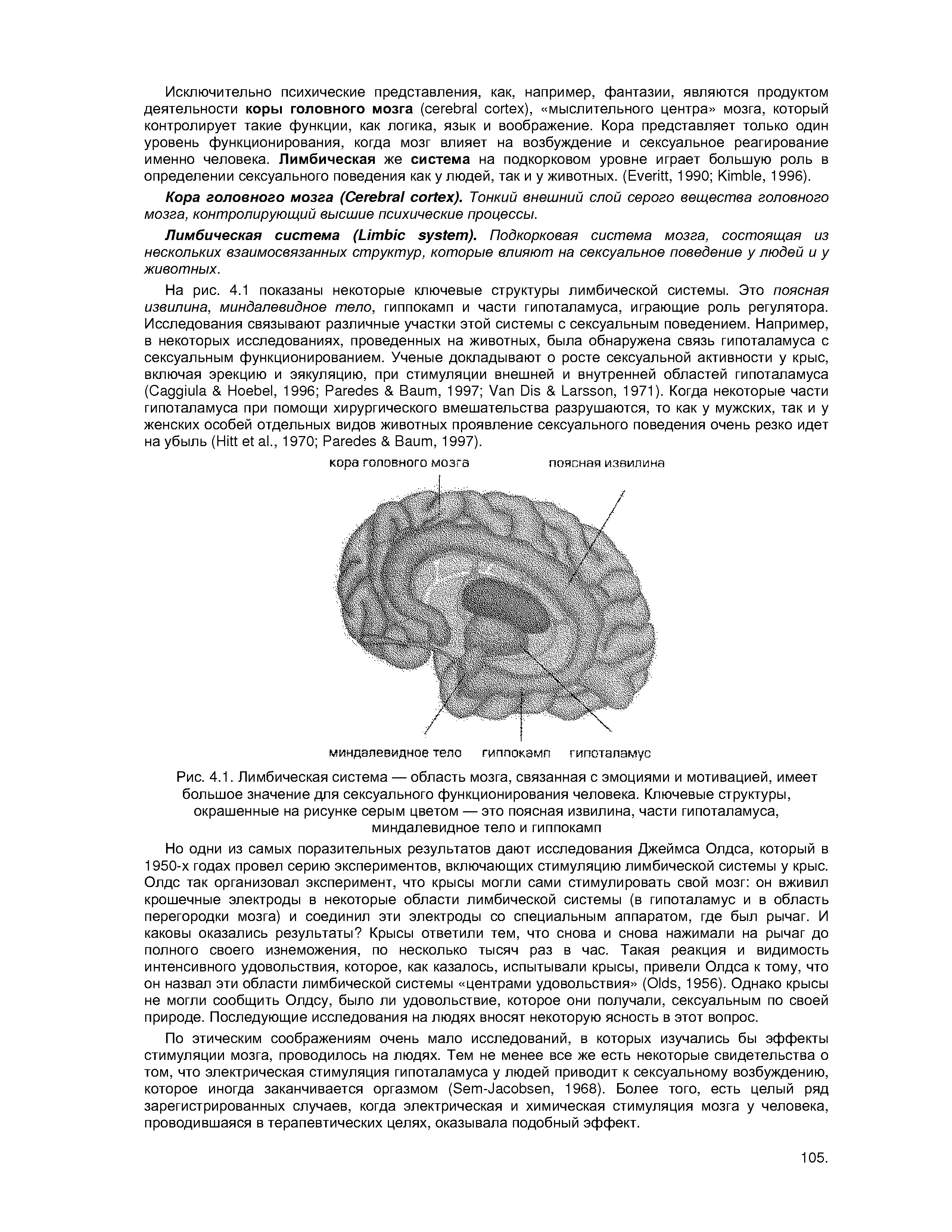 Рис. 4.1. Лимбическая система — область мозга, связанная с эмоциями и мотивацией, имеет большое значение для сексуального функционирования человека. Ключевые структуры, окрашенные на рисунке серым цветом — это поясная извилина, части гипоталамуса, миндалевидное тело и гиппокамп...