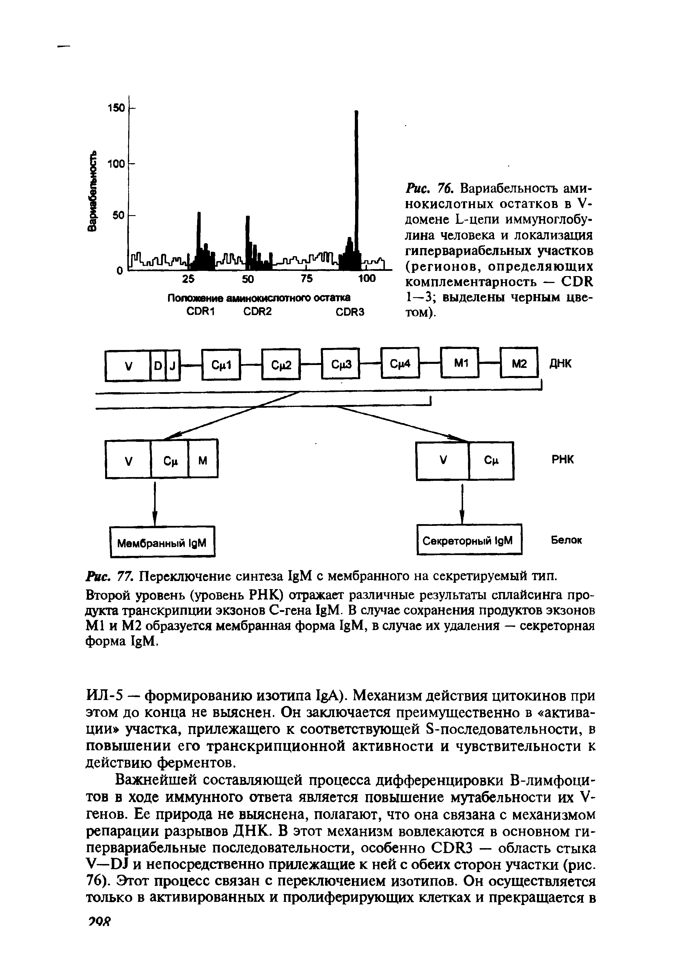 Рис. 76. Вариабельность аминокислотных остатков в V-домене L-цепи иммуноглобулина человека и локализация гипервариабельных участков (регионов, определяющих комплементарность — CDR 1—3 выделены черным цветом).