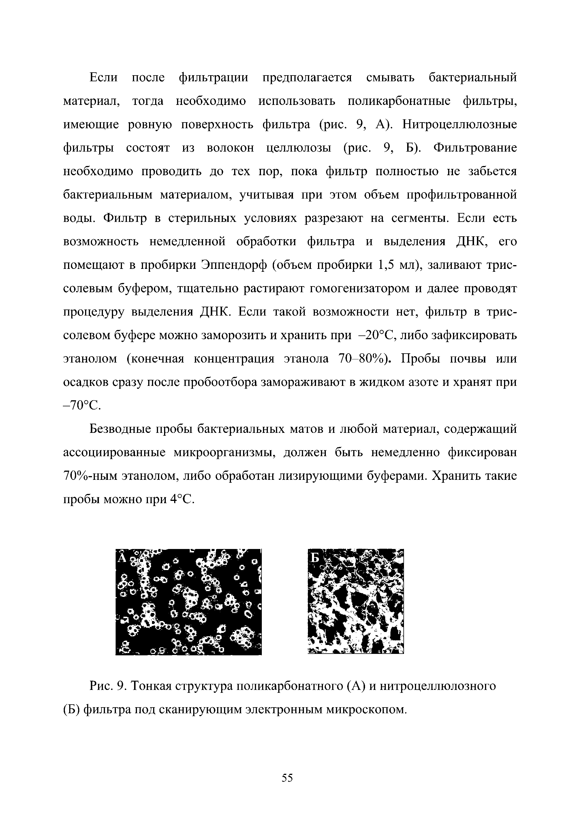 Рис. 9. Тонкая структура поликарбонатного (А) и нитроцеллюлозного (Б) фильтра под сканирующим электронным микроскопом.