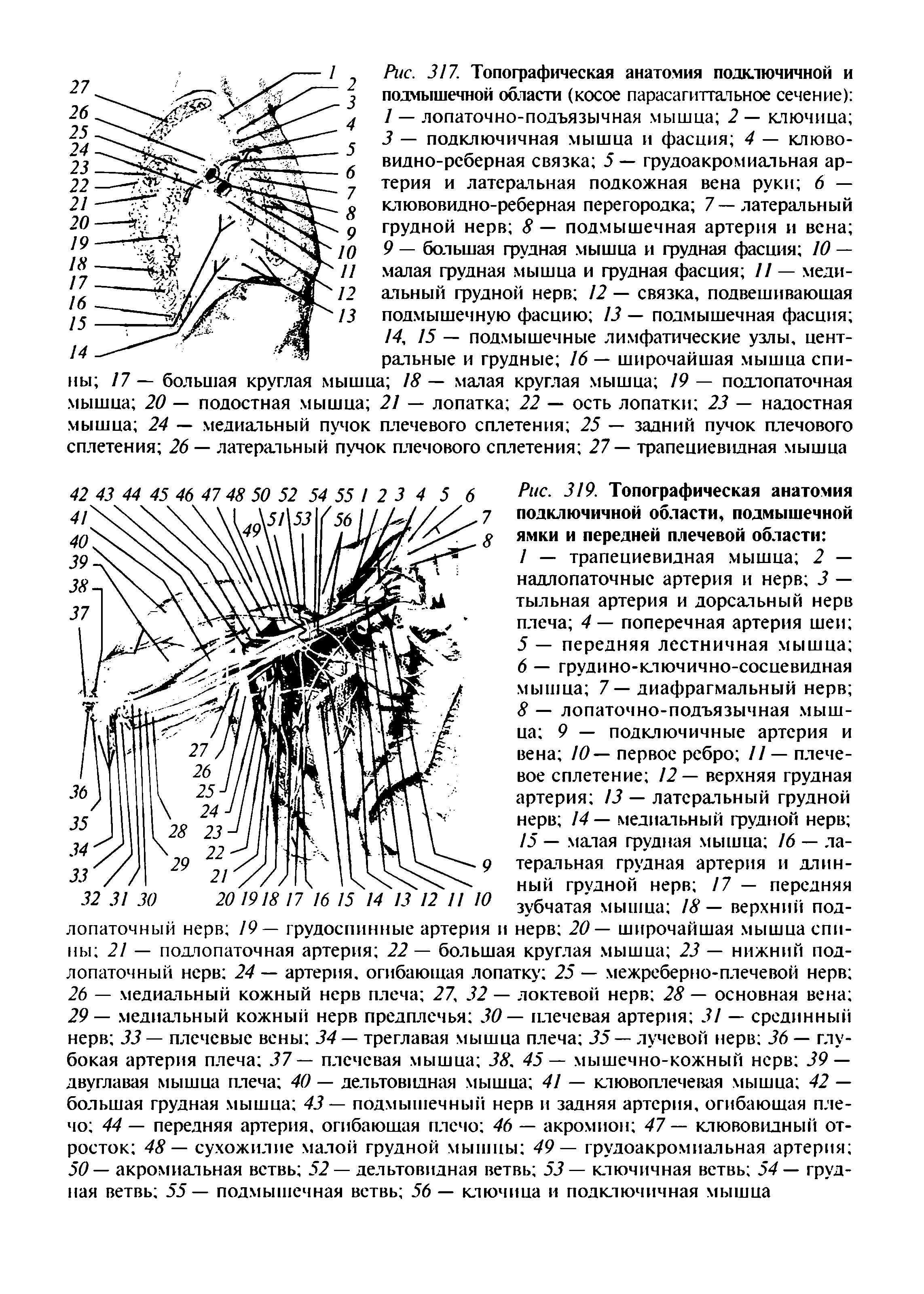 Рис. 319. Топографическая анатомия подключичной области, подмышечной ямки и передней плечевой области ...