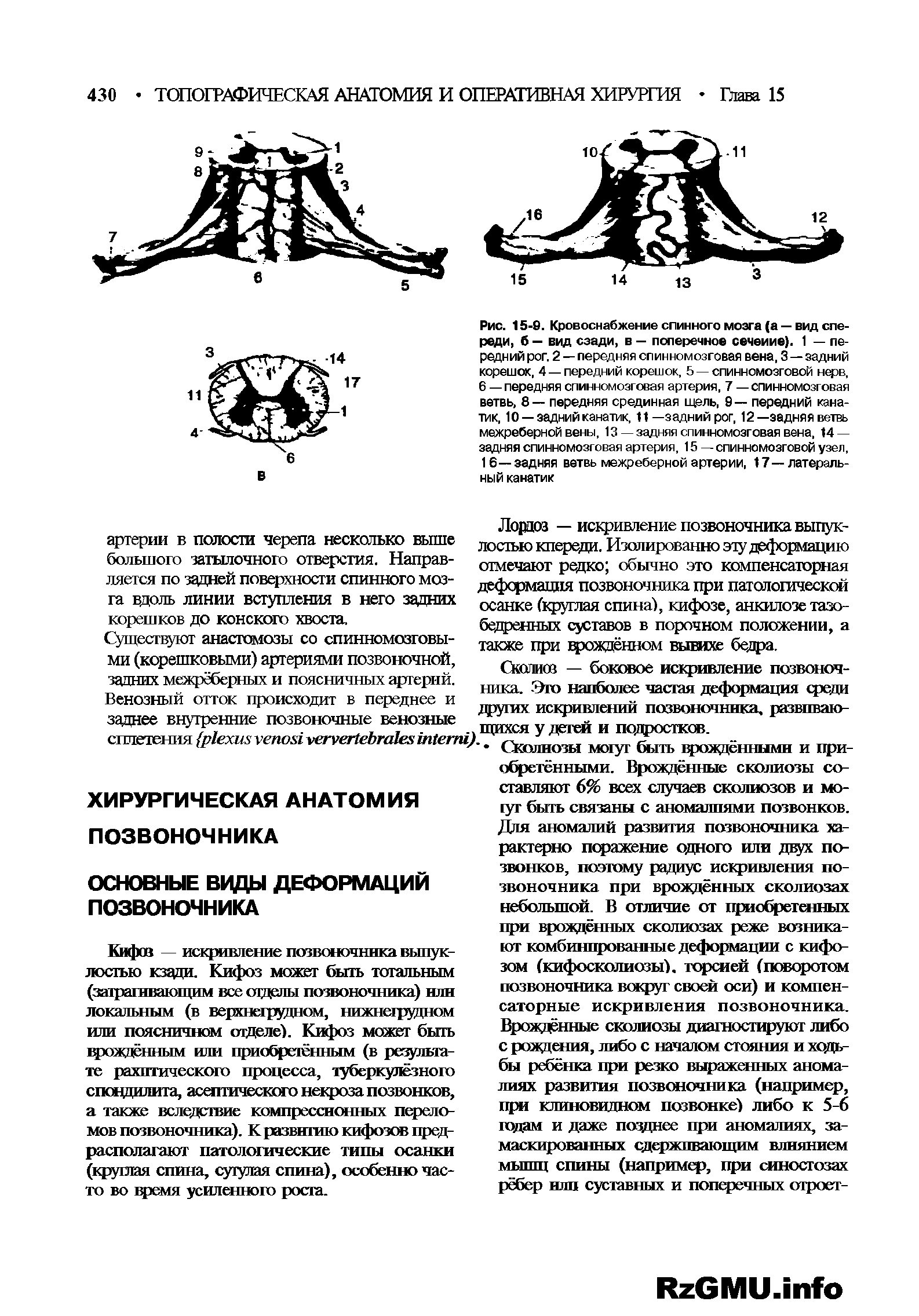 Рис. 15-9. Кровоснабжение спинного мозга (а — вид спереди, б — вид сзади, в — поперечное сечеиие). 1 — передний рог. 2 — передняя спинномозговая вена, 3 — задний корешок, 4 —передний корешок, 5 — спинномозговой нерв, 6 — передняя спинномозговая артерия, 7 — спинномозговая ветвь. 8— передняя срединная щель, 9— передний канатик, 10 —задний канатик, 11—задний рог, 12—задняя ветвь межреберной вены, 13—задняя спинномозговая вена, 14 — задняя спинномозговая артерия, 15 — спинномозговой узел, 16—задняя ветвь межреберной артерии, 17—латеральный канатик...