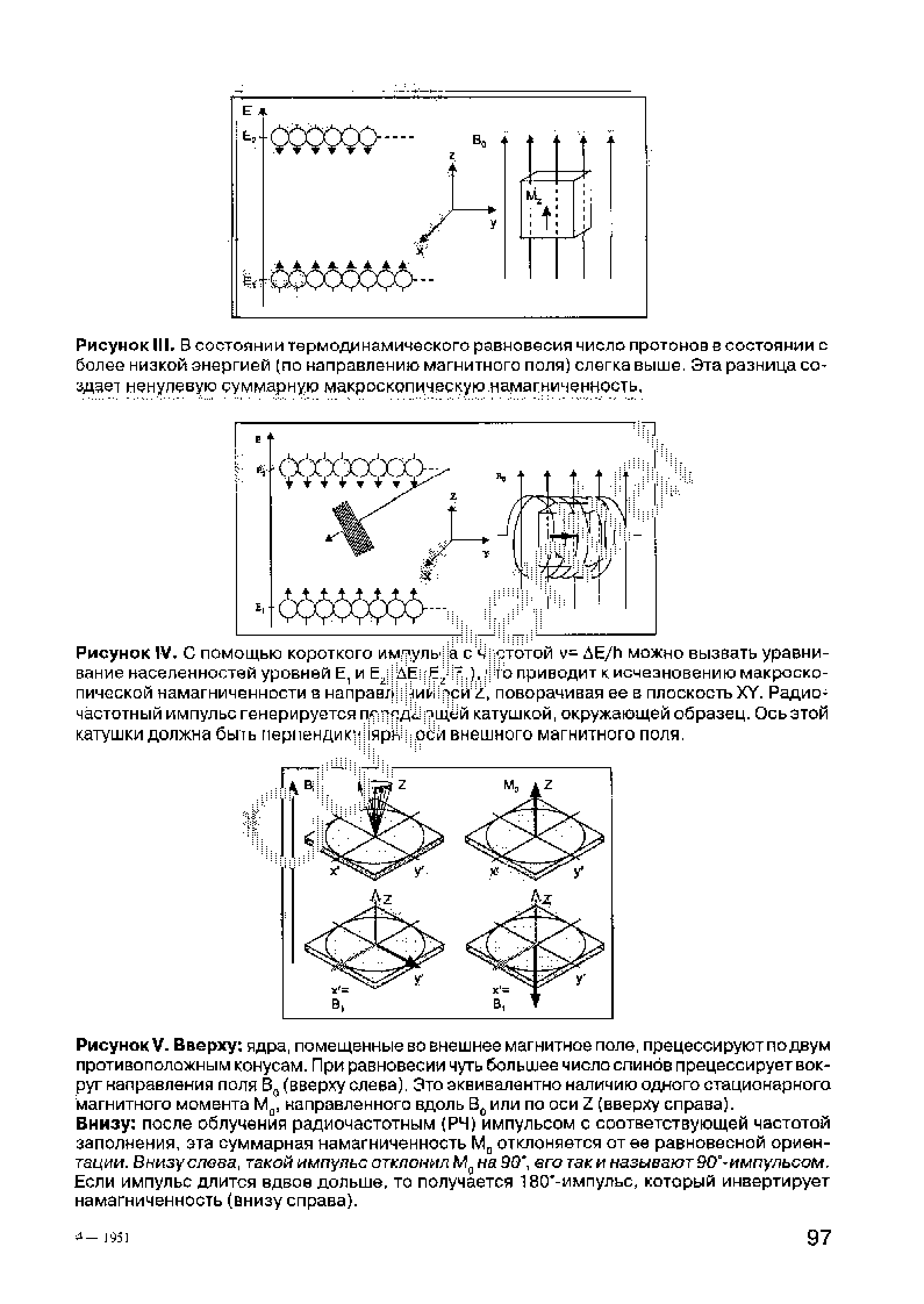 Рисунок IV. С помощью короткого имг уль На с чистотой у= Е/И можно вызвать уравнивание населенностей уровней Е, и Е2Н Еи пической намагниченности в направлнрий сй поворачивая ее в плоскость ХУ. Радиочастотный импульс генерируется пс л яд пщёй катушкой, окружающейобразец. Ось этой катушки должна быть перпендик Цярйирёй внешнего магнитного поля.