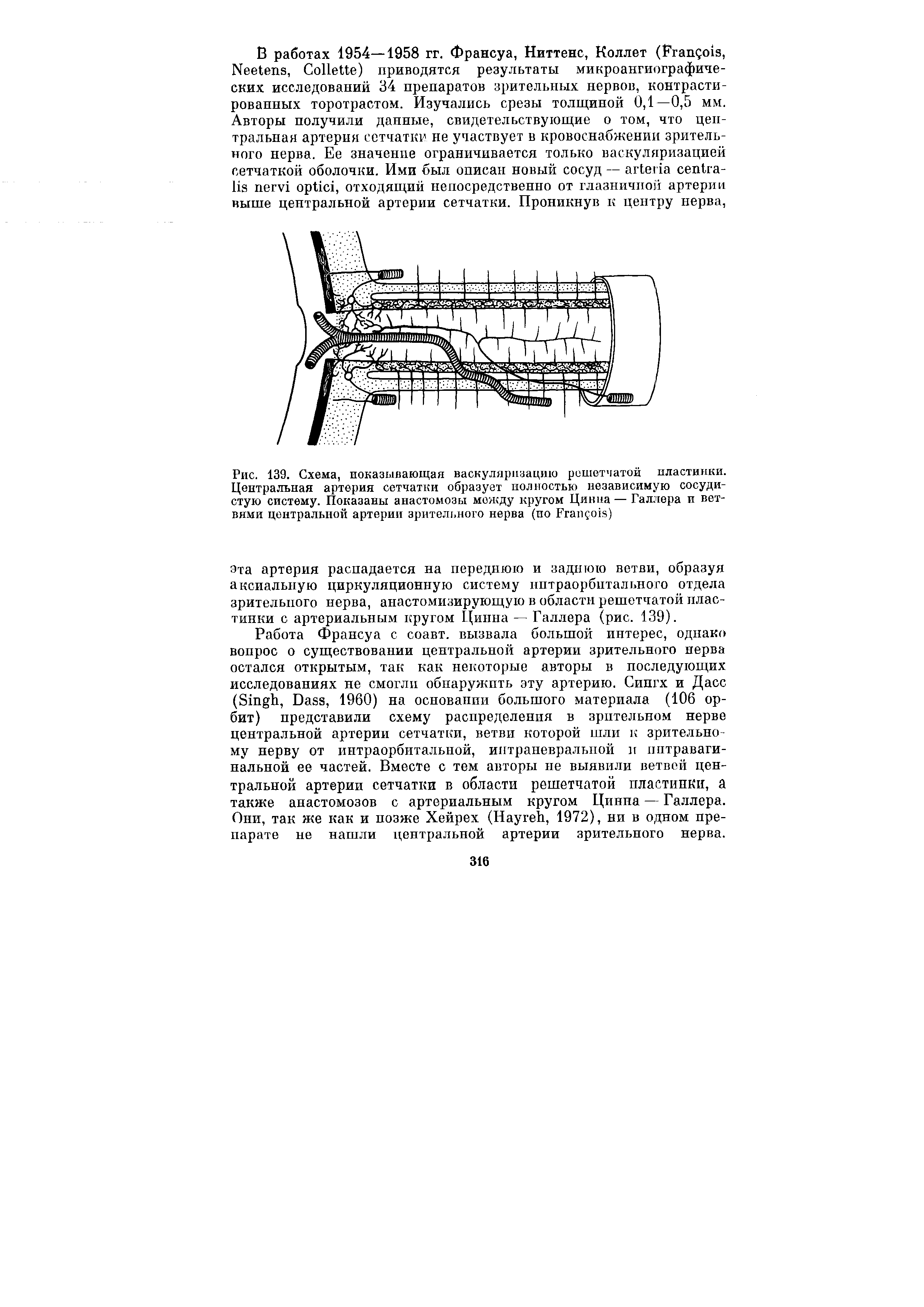 Рис. 139. Схема, показывающая васкуляризацию решетчатой пластинки. Центральная артерия сетчатки образует полностью независимую сосудистую систему. Показаны анастомозы между кругом Циниа — Галлера и ветвями центральной артерии зрительного нерва (ио F )...