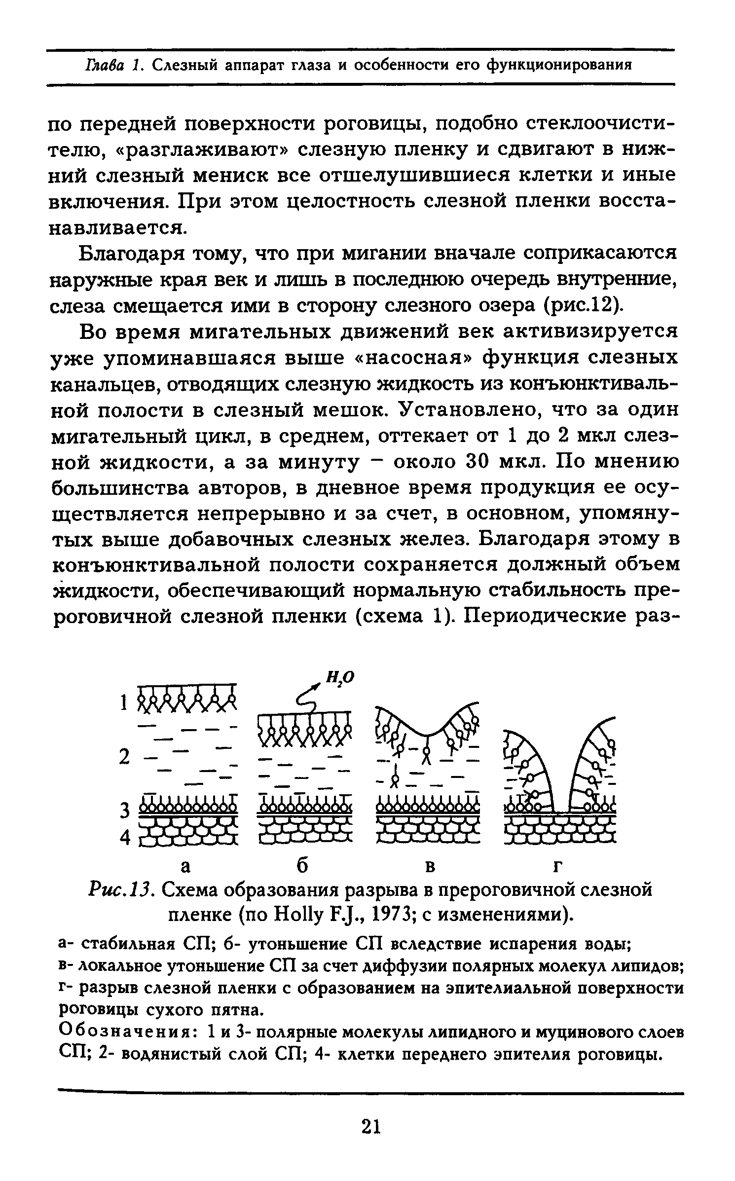 Рис. 13. Схема образования разрыва в прероговичной слезной пленке (по H F.J., 1973 с изменениями).