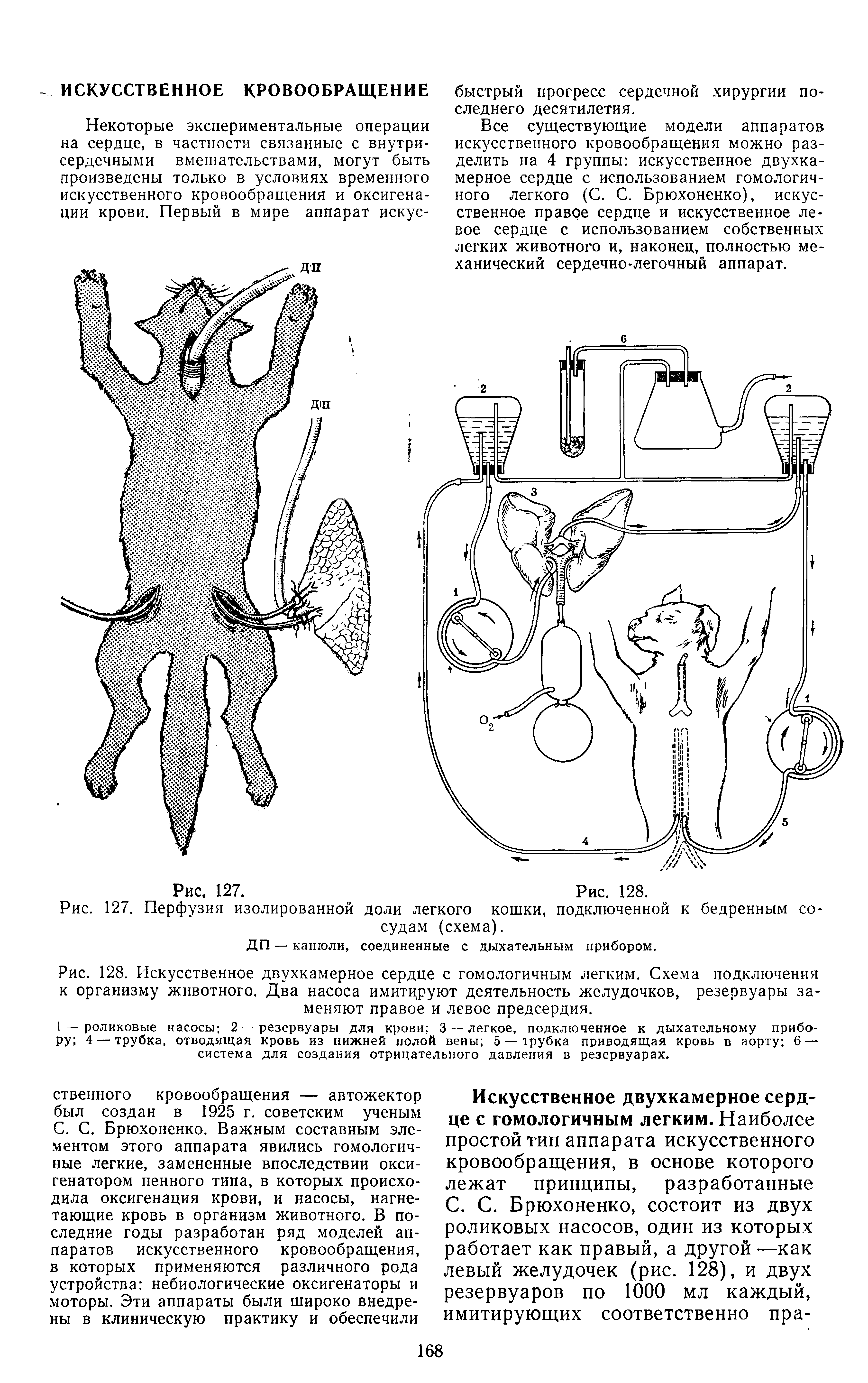 Рис. 128. Искусственное двухкамерное сердце с гомологичным легким. Схема подключения к организму животного. Два насоса имитцруют деятельность желудочков, резервуары заменяют правое и левое предсердия.