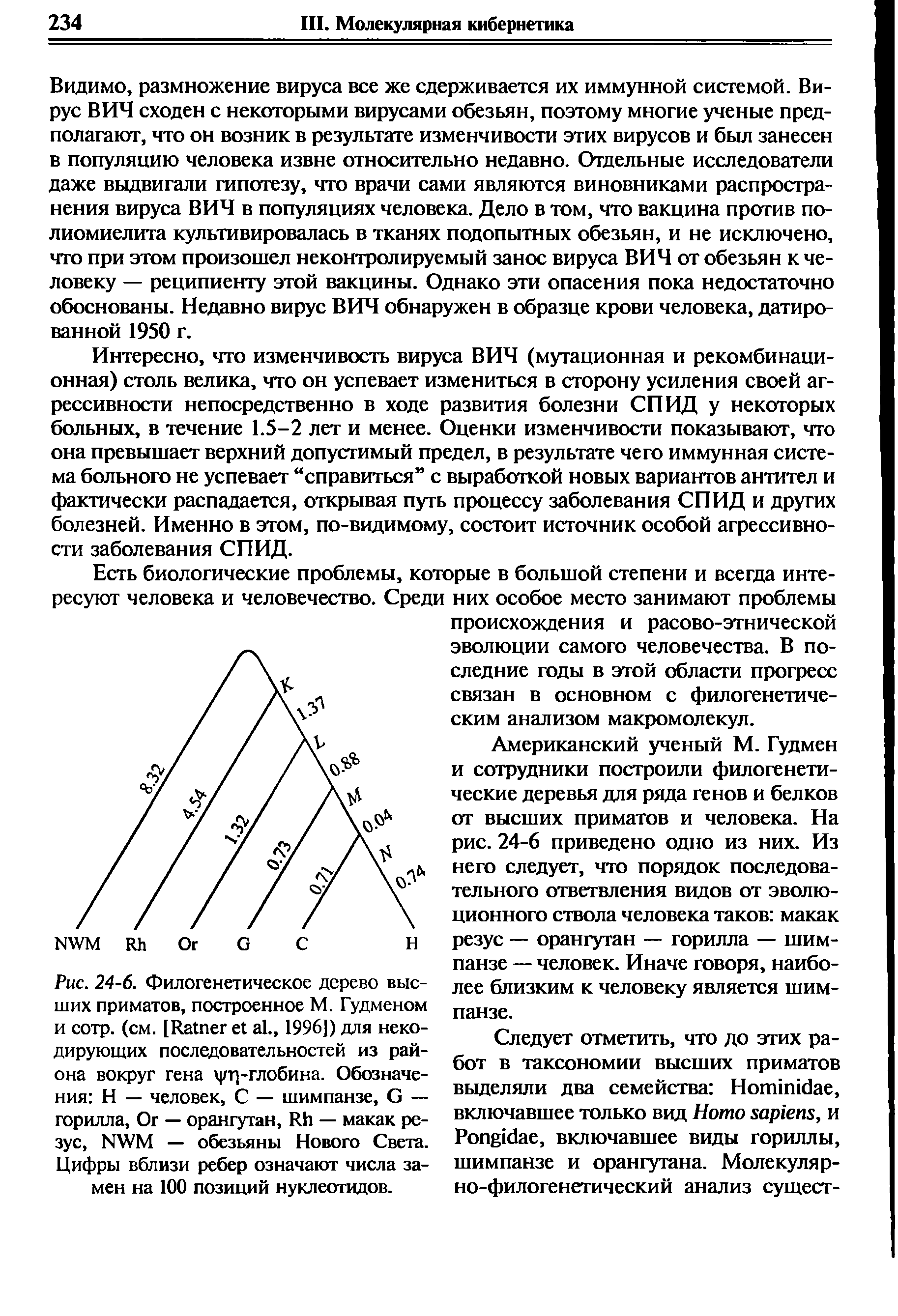 Рис. 24-6. Филогенетическое дерево высших приматов, построенное М. Гудменом и сотр. (см. [R ., 1996]) для некодирующих последовательностей из района вокруг гена /т]-глобина. Обозначения Н — человек, С — шимпанзе, G — горилла, Ог — орангутан, R — макак резус, NWM — обезьяны Нового Света. Цифры вблизи ребер означают числа замен на 100 позиций нуклеотидов.