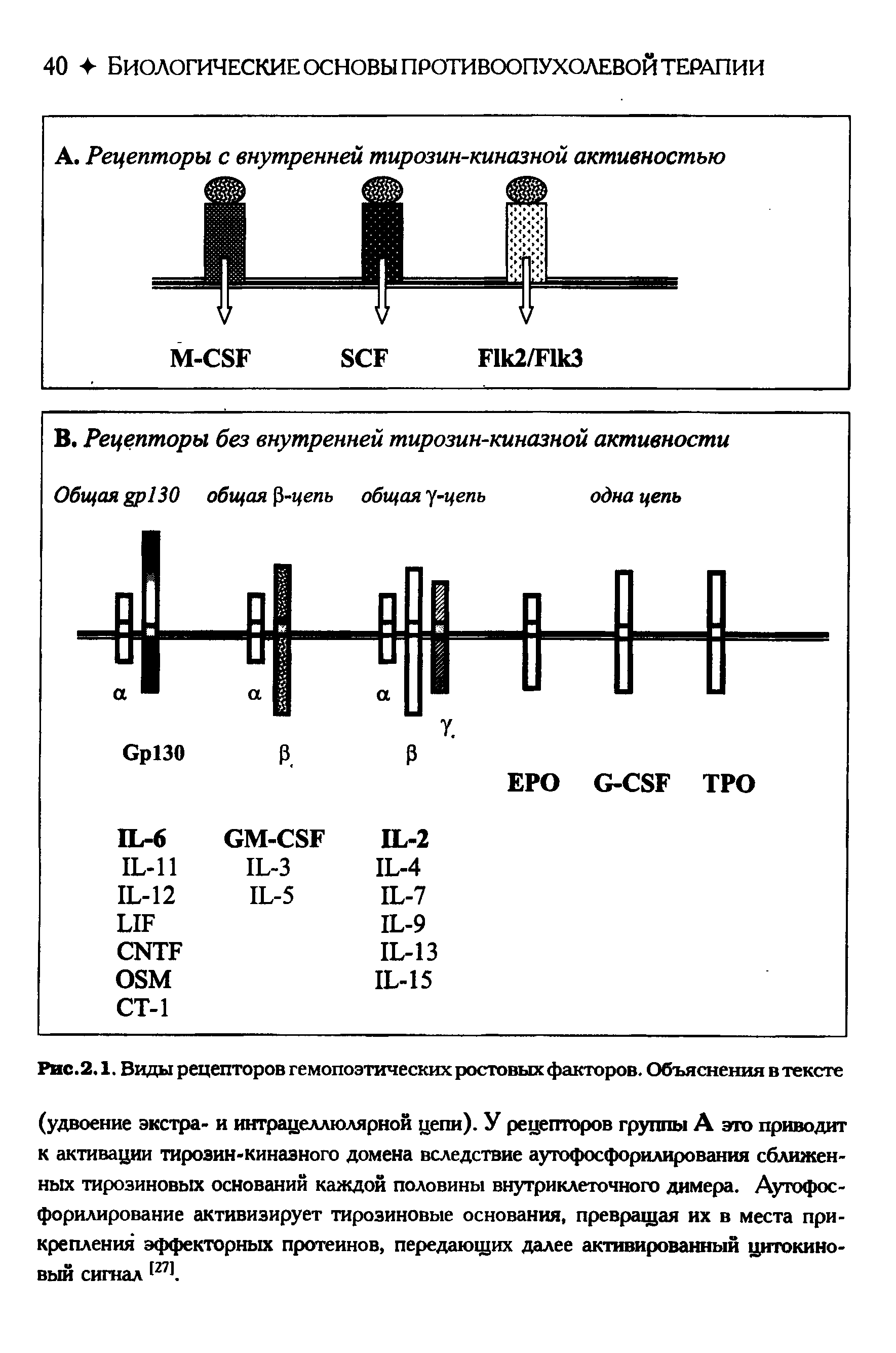 Рис.2.1. Виды рецепторов гемопоэтических ростовых факторов. Объяснения в тексте...