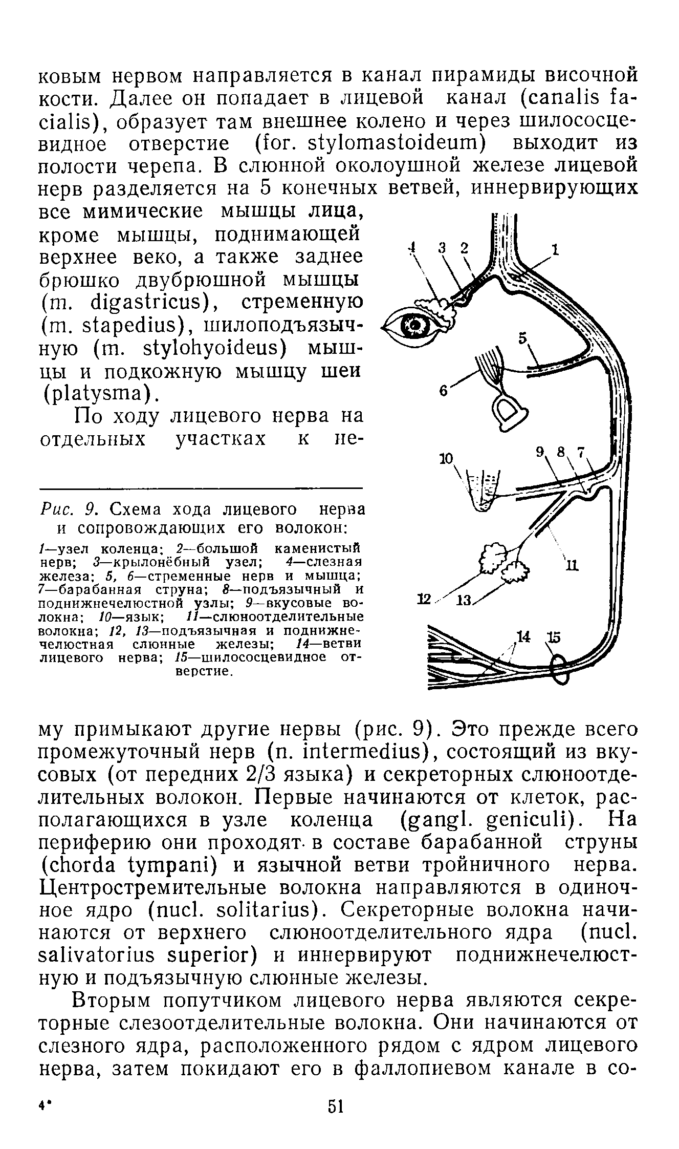 Рис. 9. Схема хода лицевого нерва и сопровождающих его волокон /—узел коленца 2—большой каменистый нерв 3— крылонёбный узел 4—слезная железа 5, б—стременные нерв и мышца 7—барабанная струна 8— подъязычный и поднижнечелюстной узлы 9—вкусовые волокна 10—язык //—слюноотделительные волокна 12, /3—подъязычная и поднижнечелюстная слюнные железы 14—ветви лицевого нерва 15—шилососцевидное отверстие.