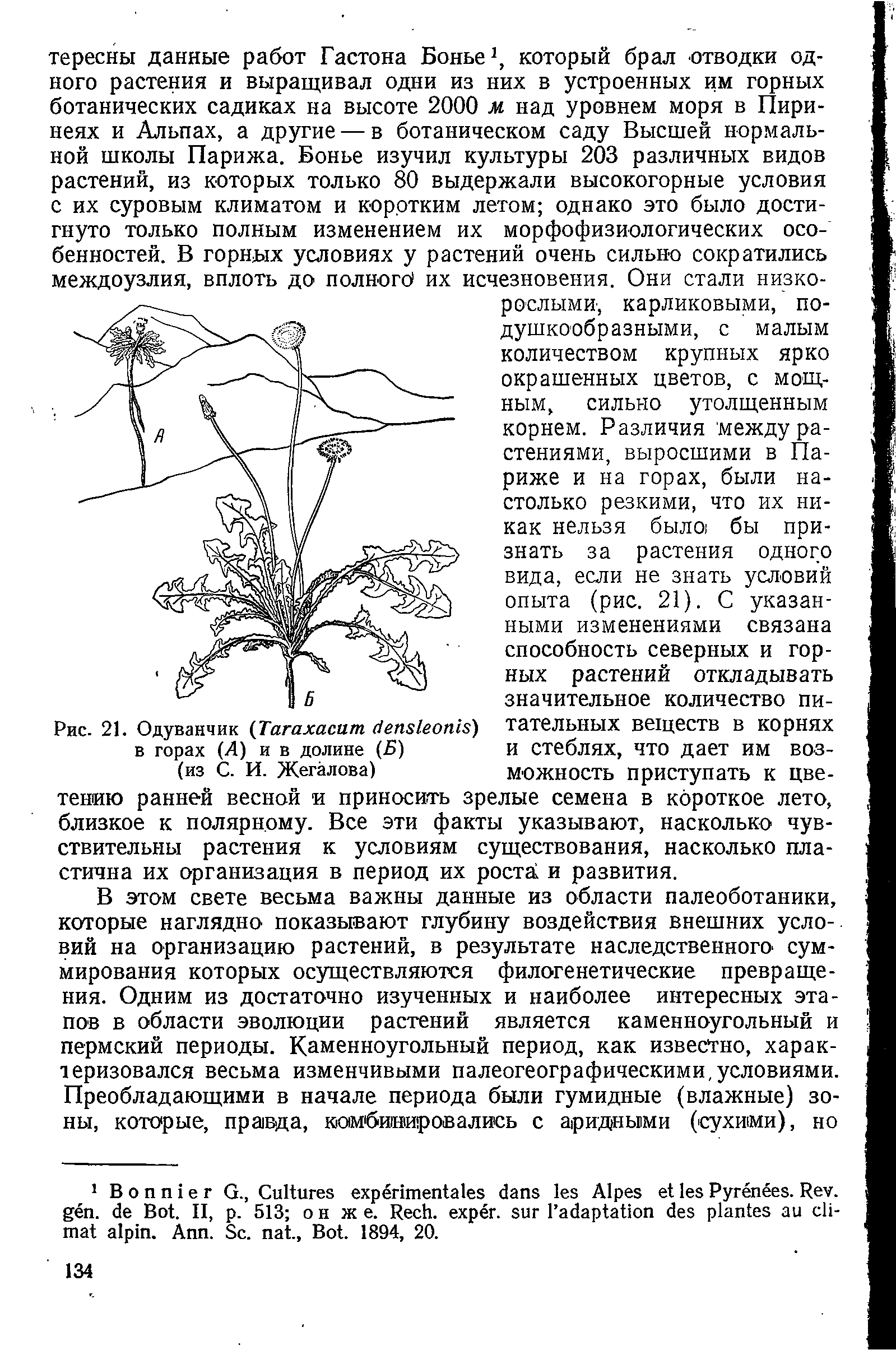 Рис. 21. Одуванчик (T ) тательных веществ в корнях...