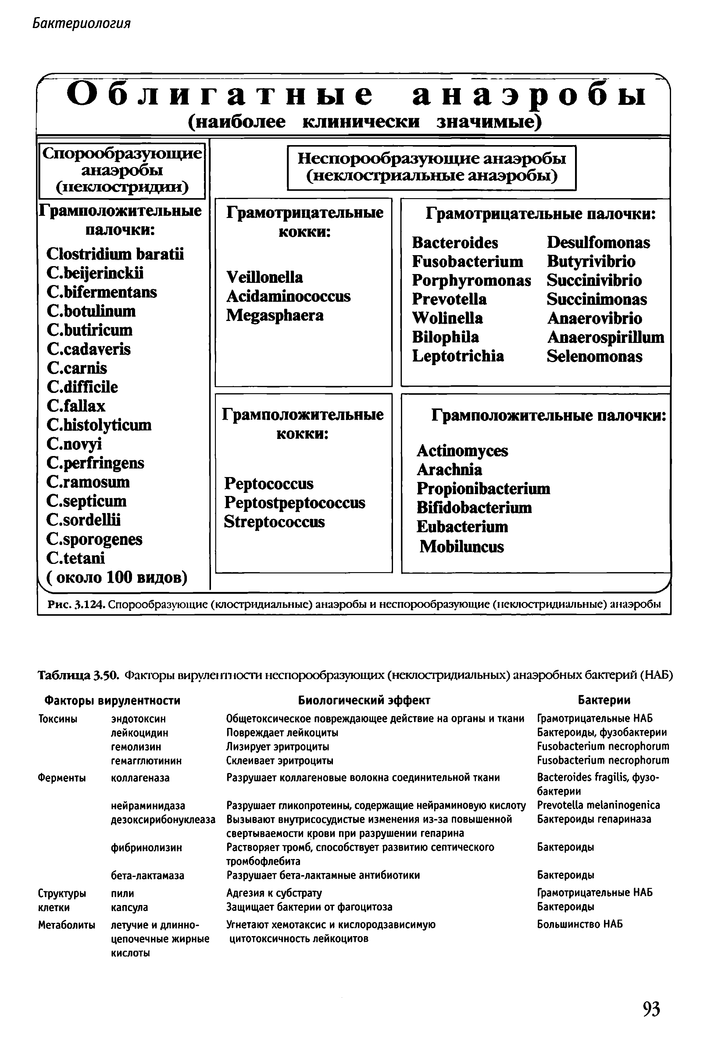 Таблица 3.50. Факторы вирулентности неспорообразующих (неклостридиальных) анаэробных бактерий (НАБ)...