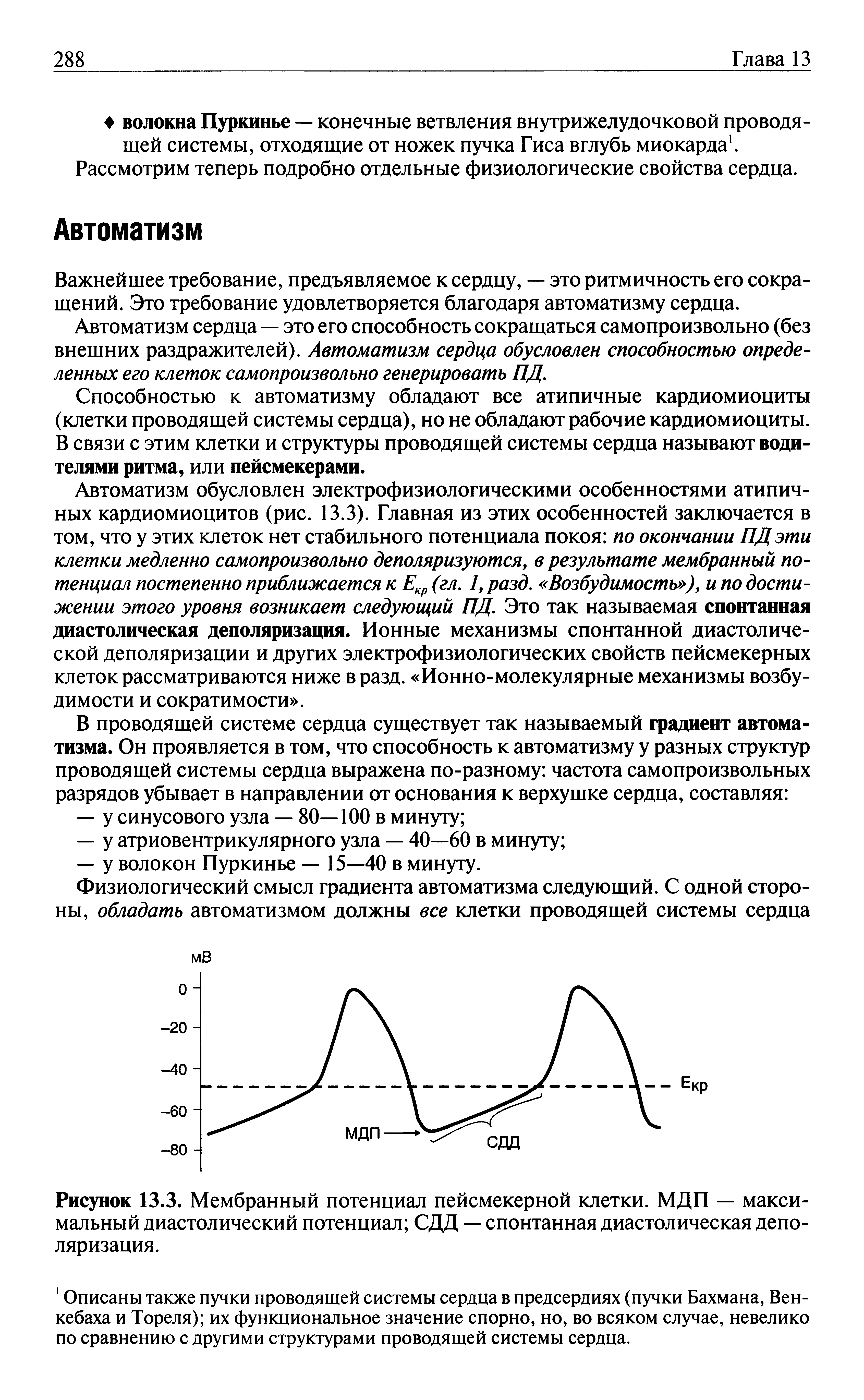 Рисунок 13.3. Мембранный потенциал пейсмекерной клетки. МДП — максимальный диастолический потенциал СДД — спонтанная диастолическая деполяризация.