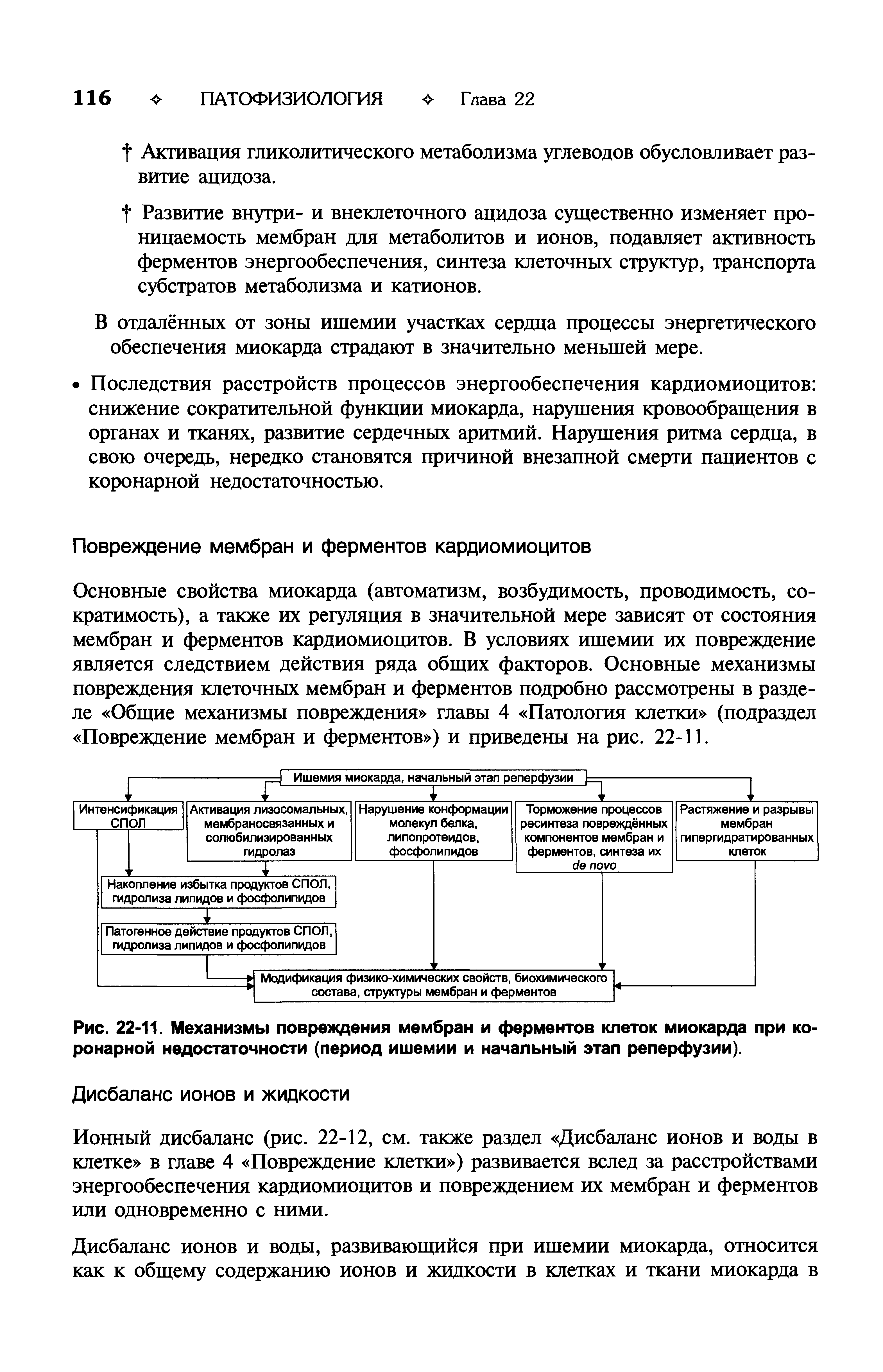 Рис. 22-11. Механизмы повреждения мембран и ферментов клеток миокарда при ко ронарной недостаточности (период ишемии и начальный этап реперфузии).