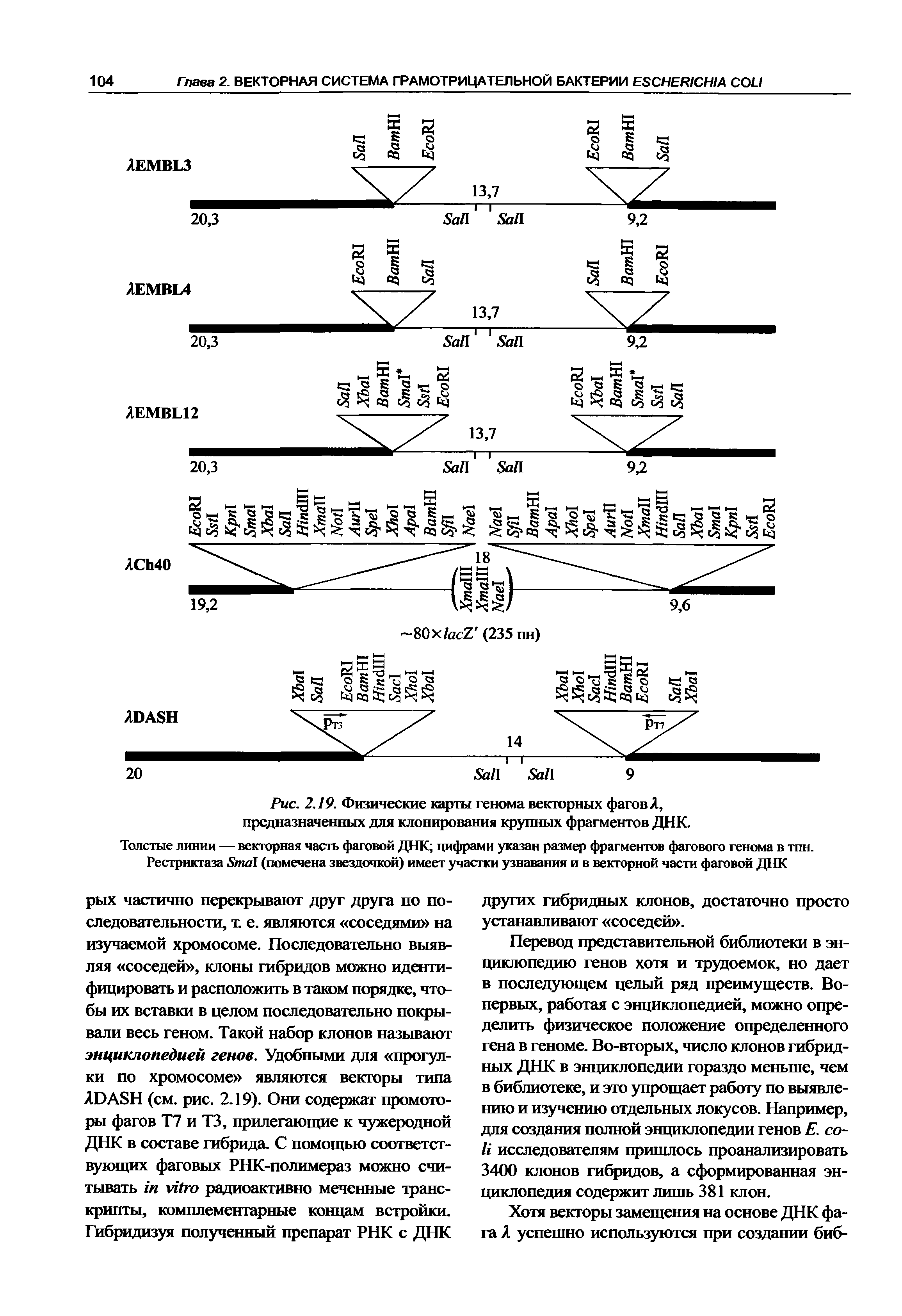 Рис. 2.19. Физические карты генома векторных фагов Л, предназначенных для клонирования крупных фрагментов ДНК.